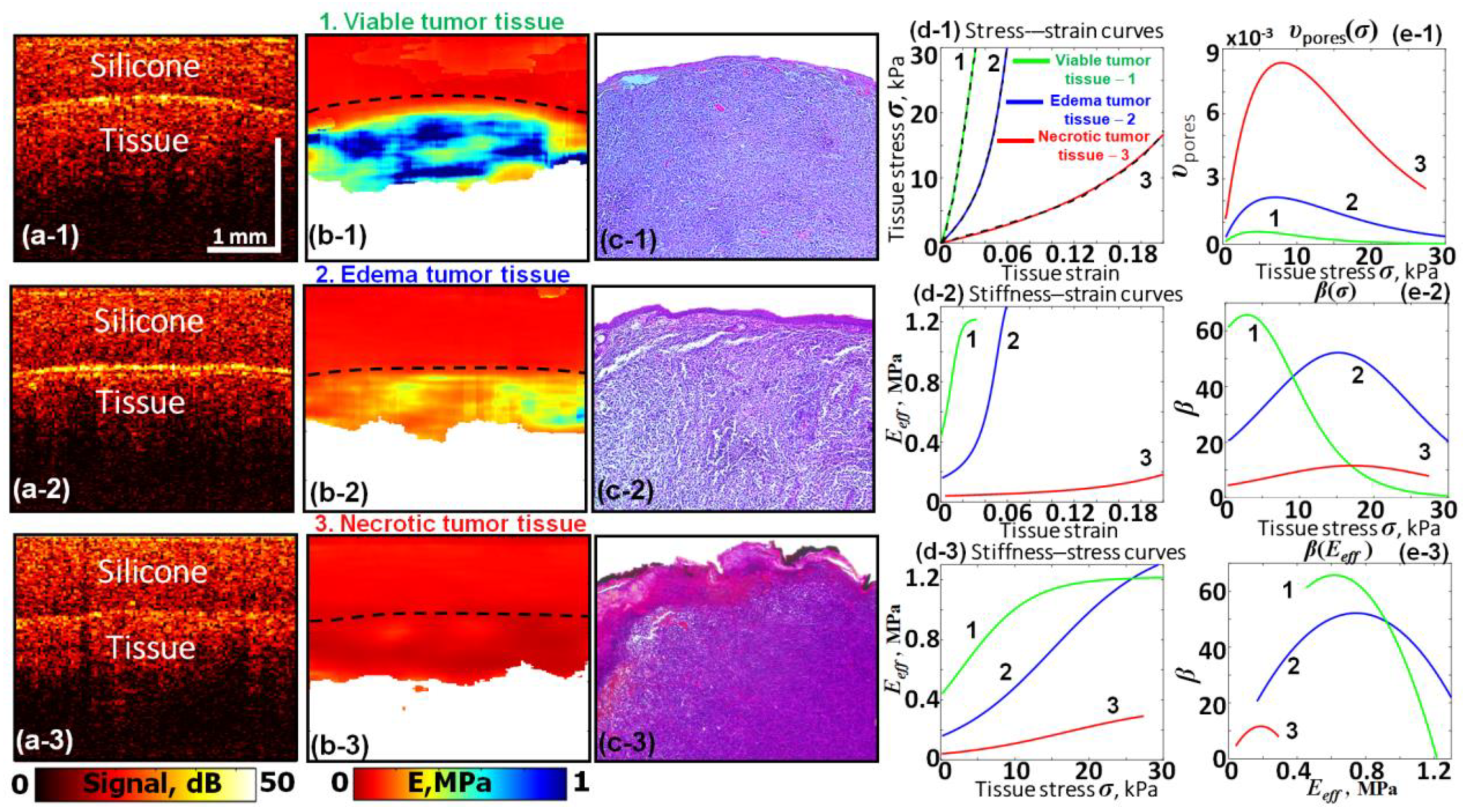 Materials 17 05023 g006