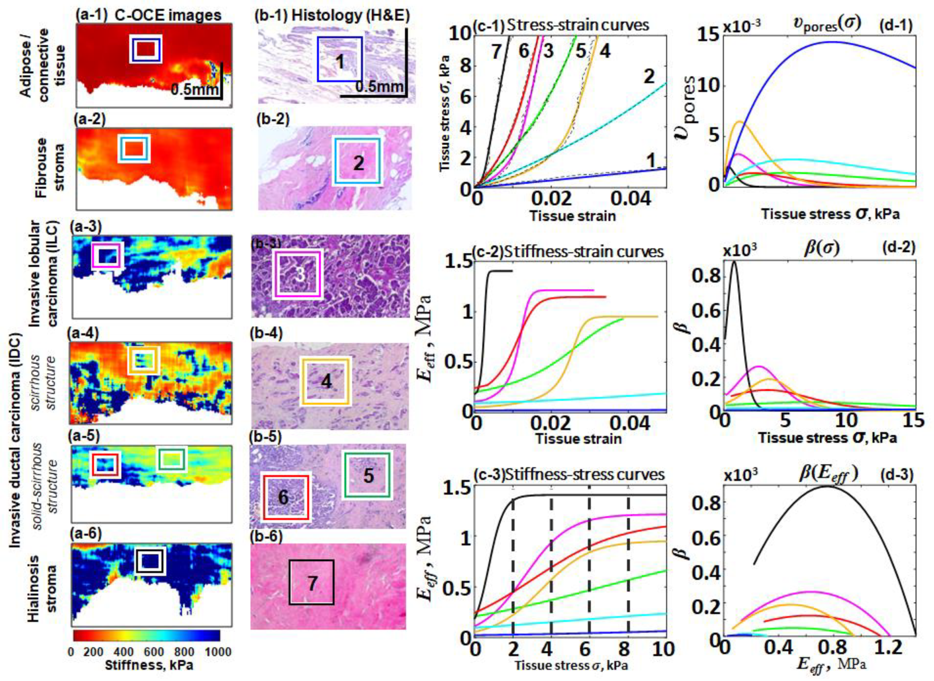 Materials 17 05023 g007