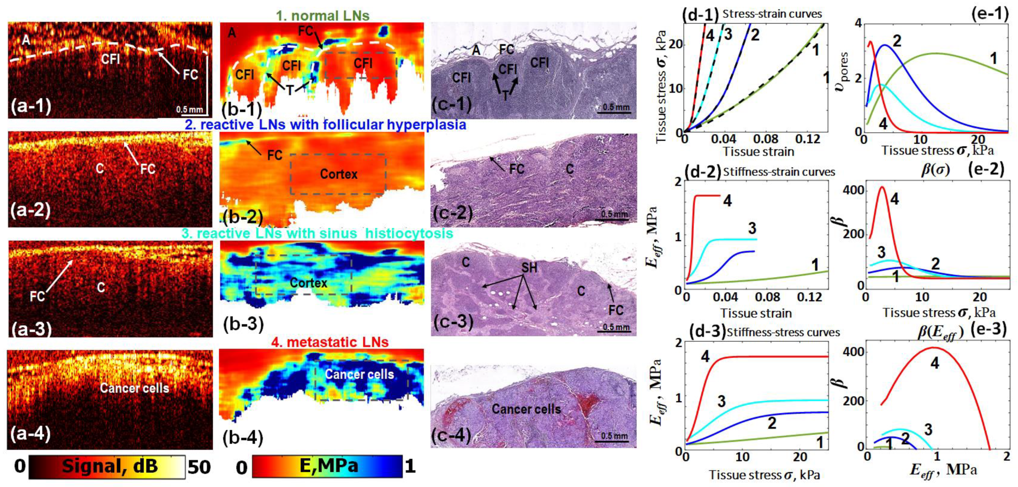 Materials 17 05023 g008