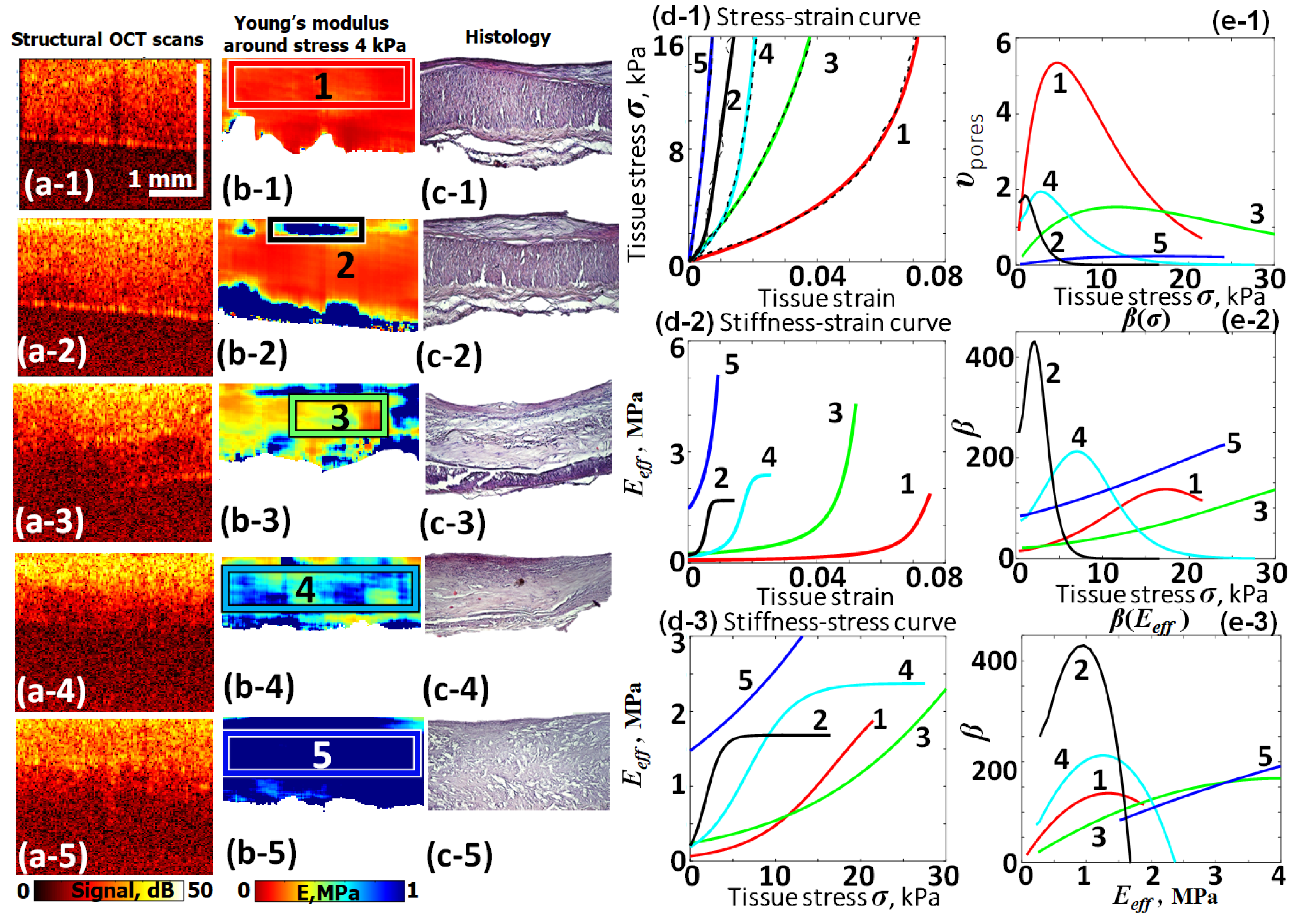 Materials 17 05023 g010