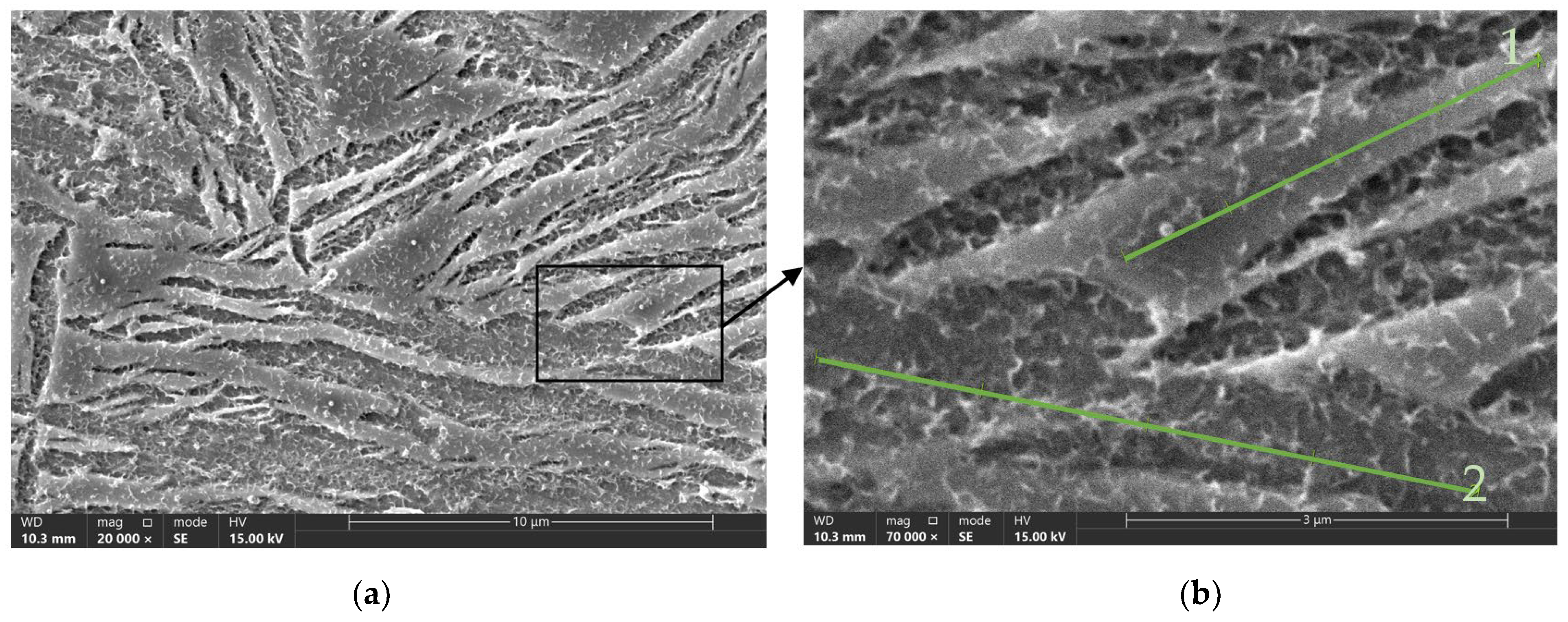 Materials 17 05024 g005
