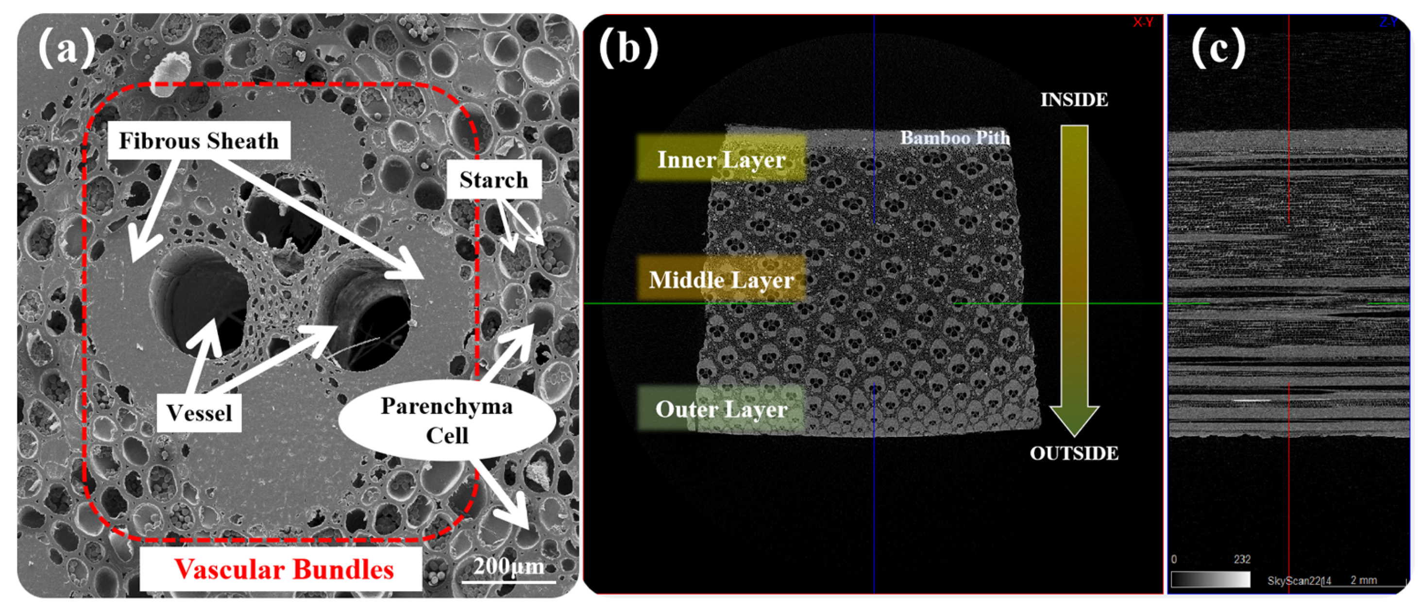 Materials 17 05027 g004 Materials 17 05027 g004
