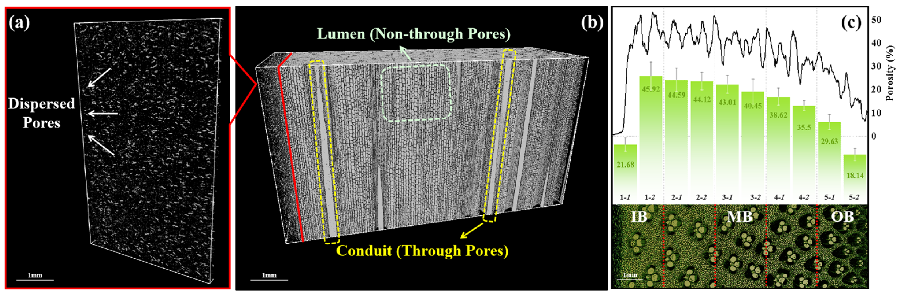 Materials 17 05027 g005 Materials 17 05027 g005