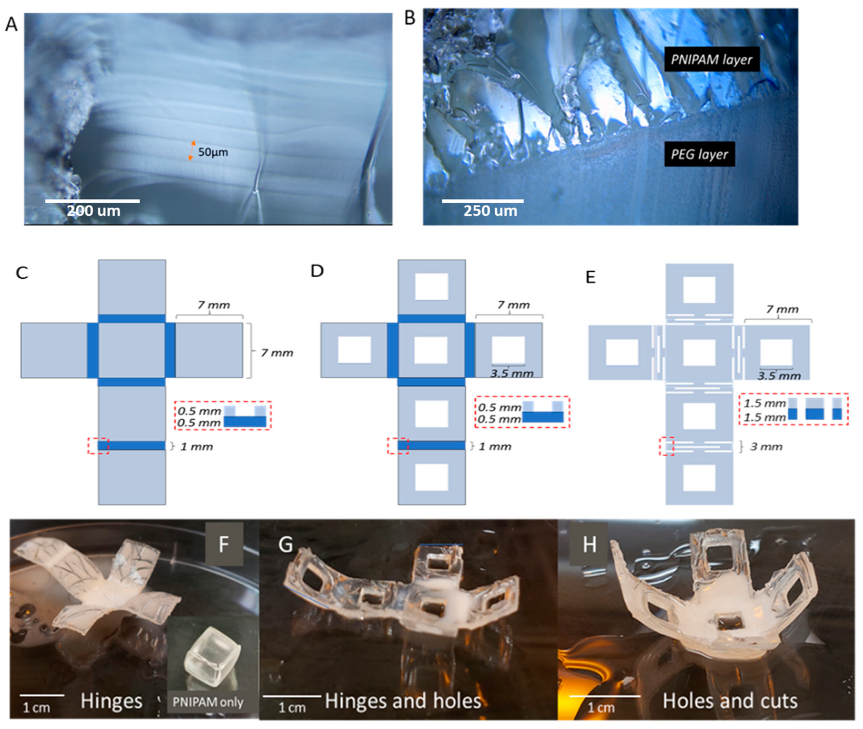 Materials 17 05028 g003