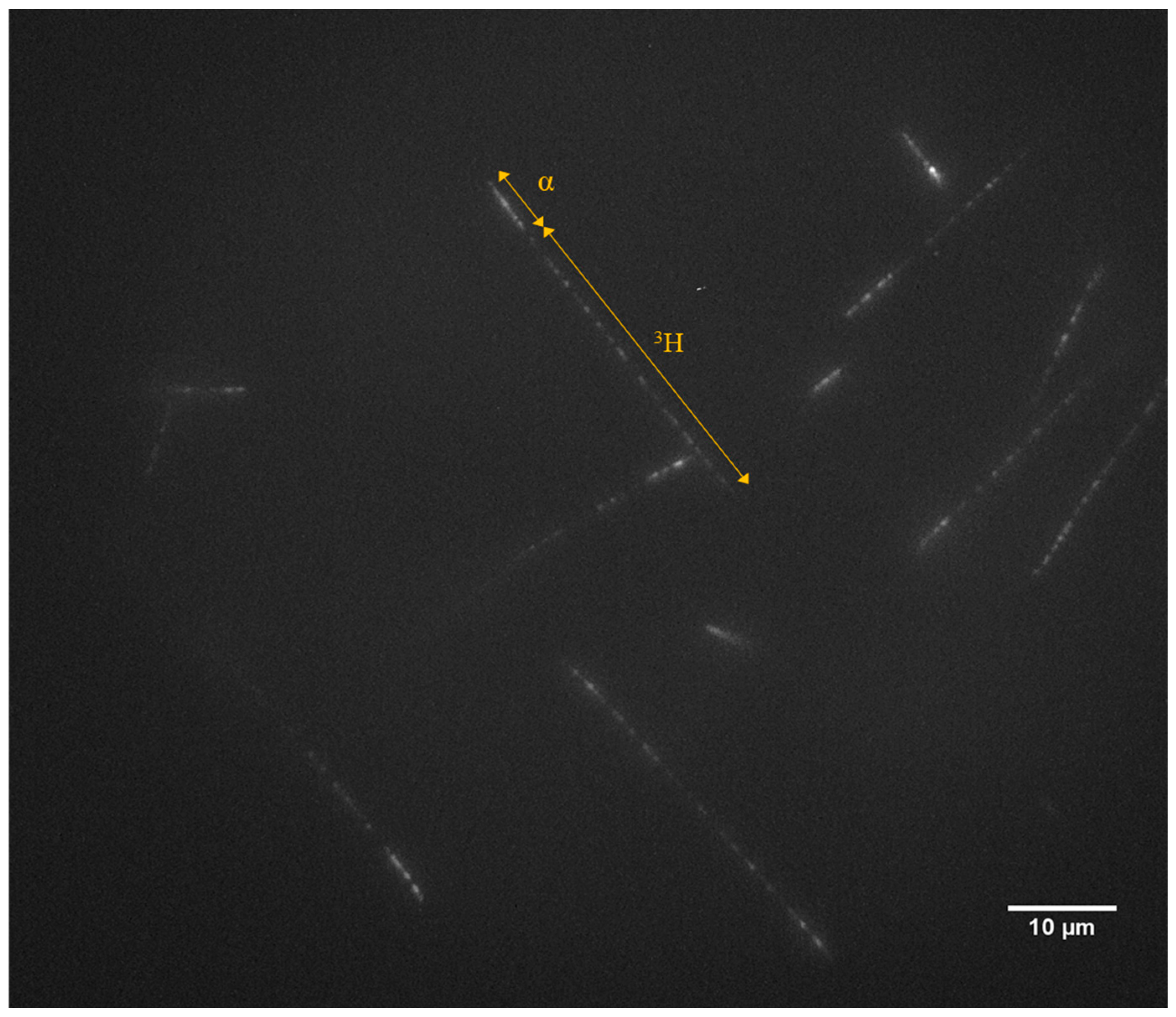 Materials 17 05029 g002