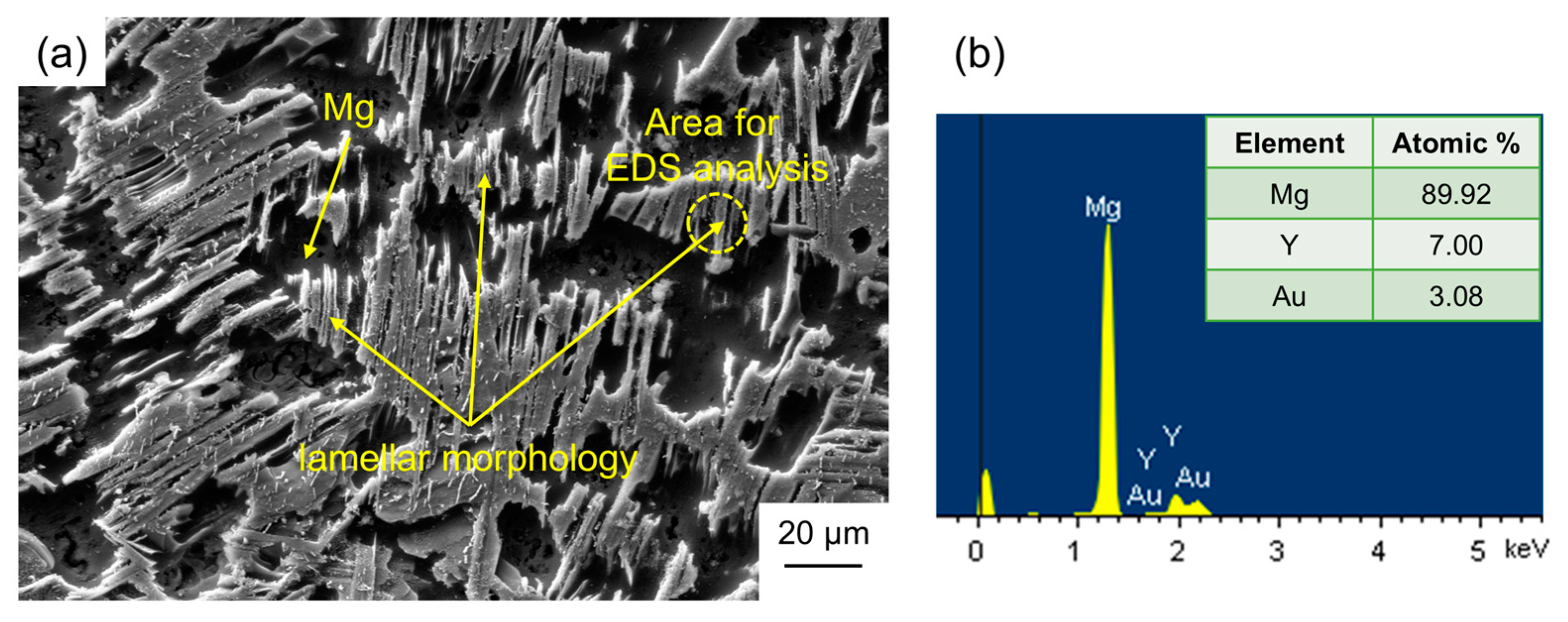 Materials 17 05032 g007