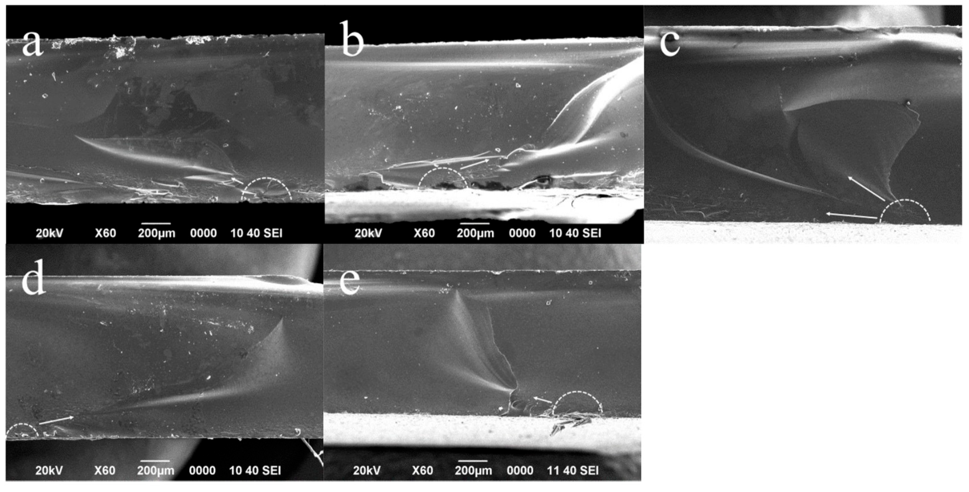 Materials 17 05039 g005