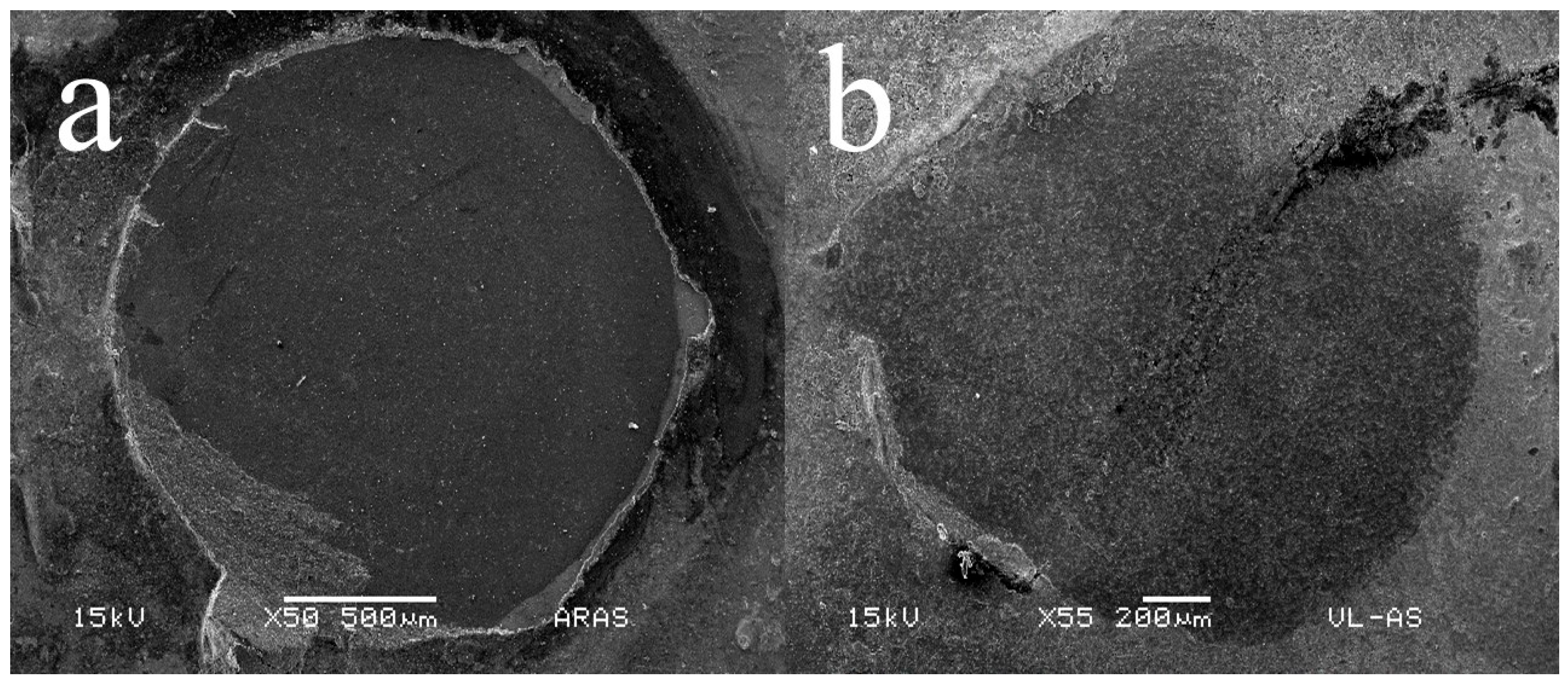 Materials 17 05039 g007