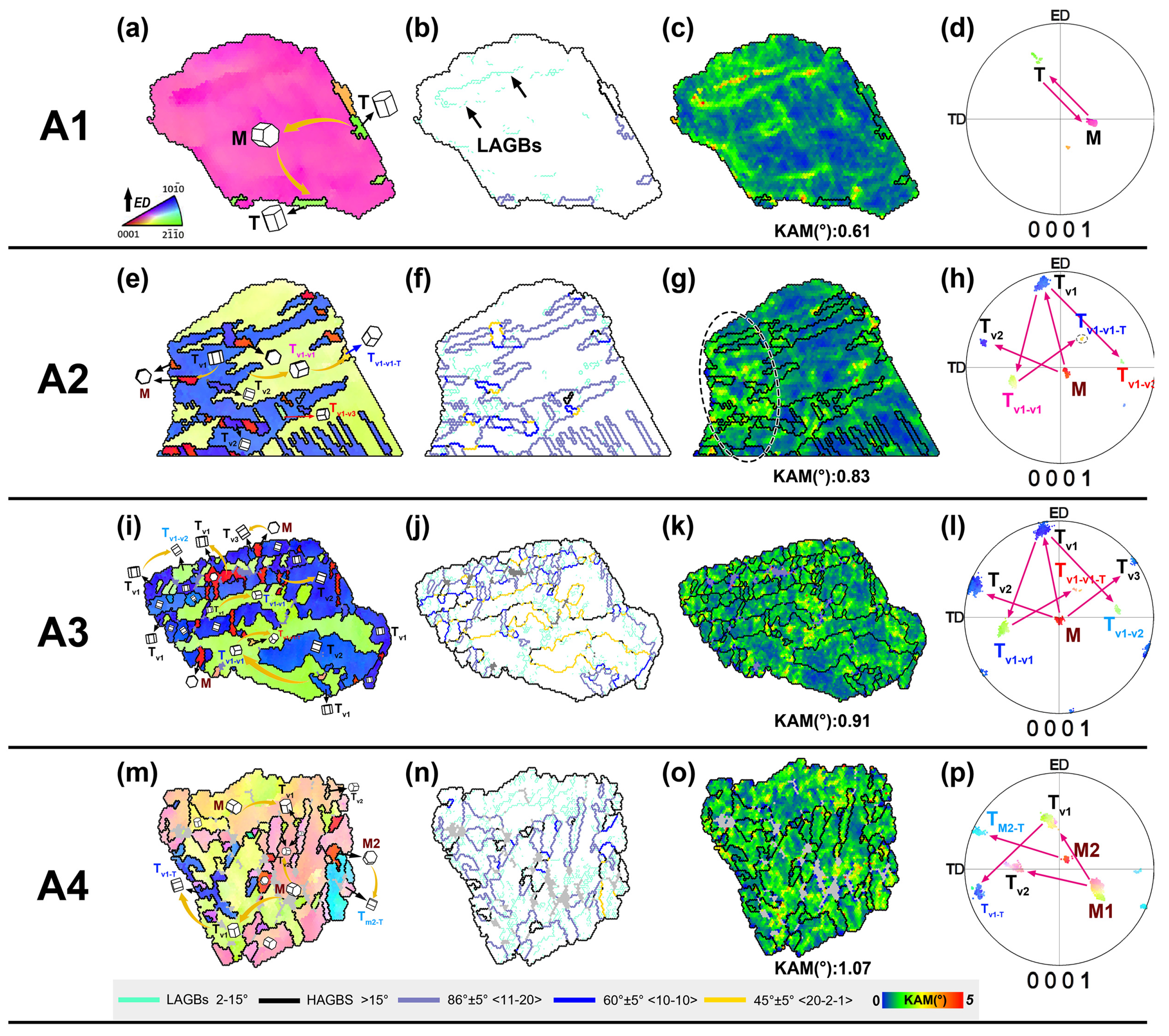 Materials 17 05055 g008
