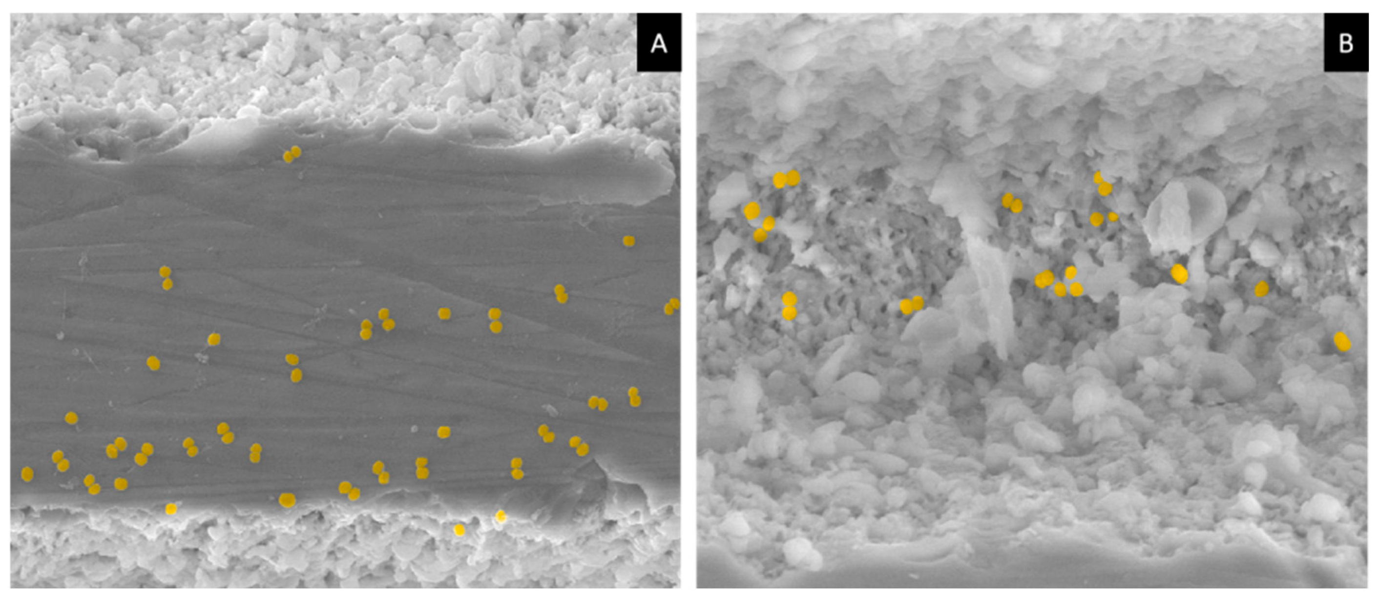 Materials 17 05057 g013