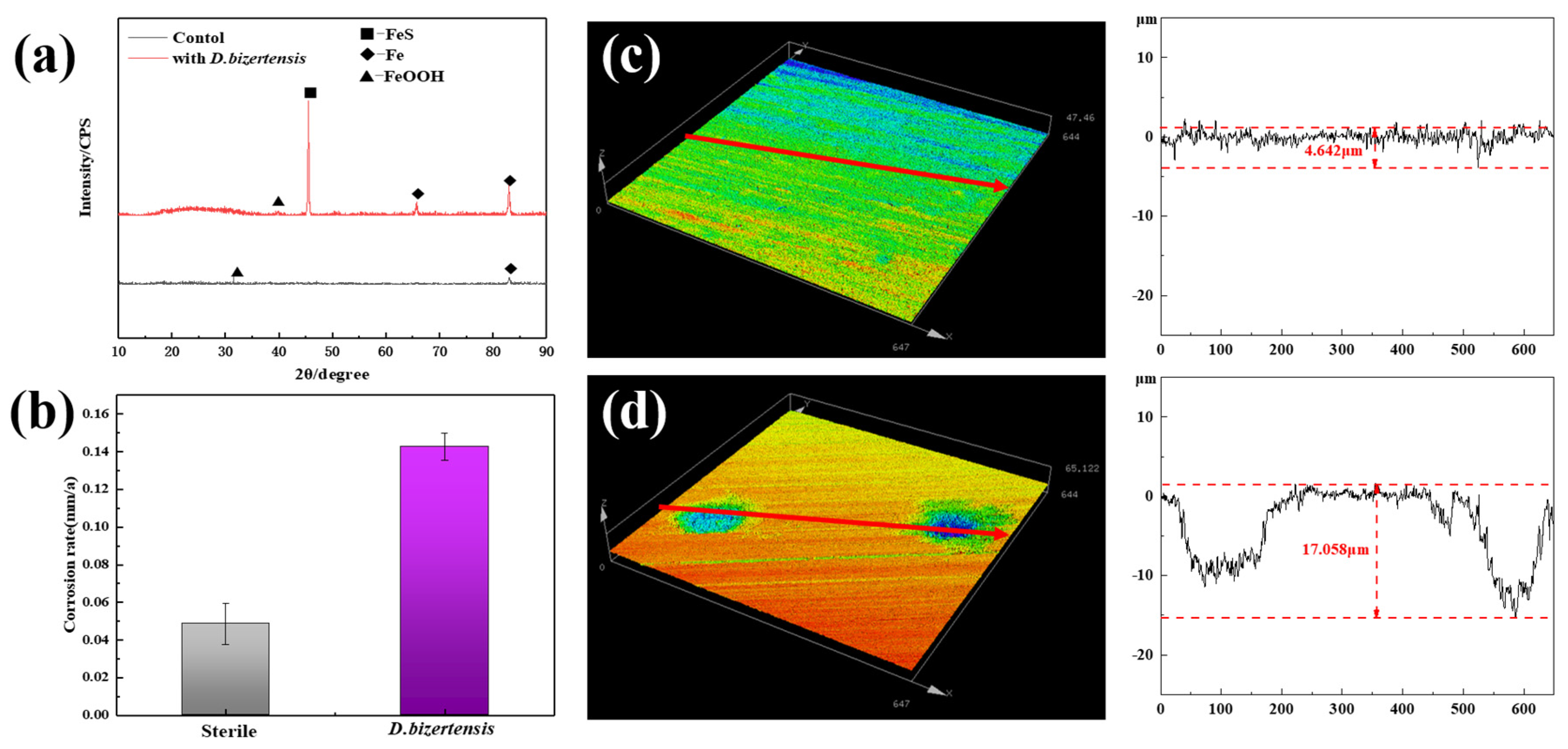 Materials 17 05060 g002