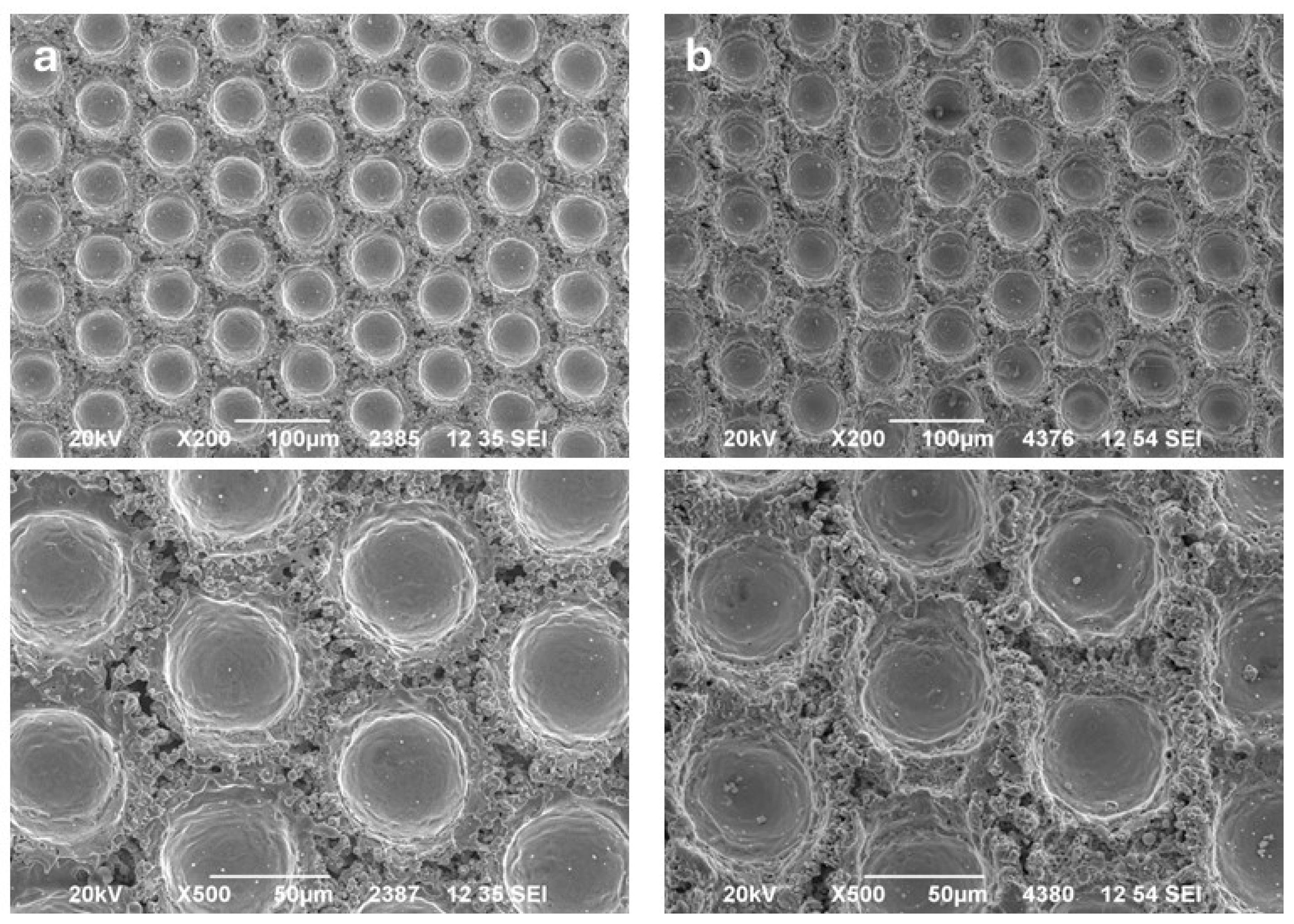 Materials 17 05069 g004