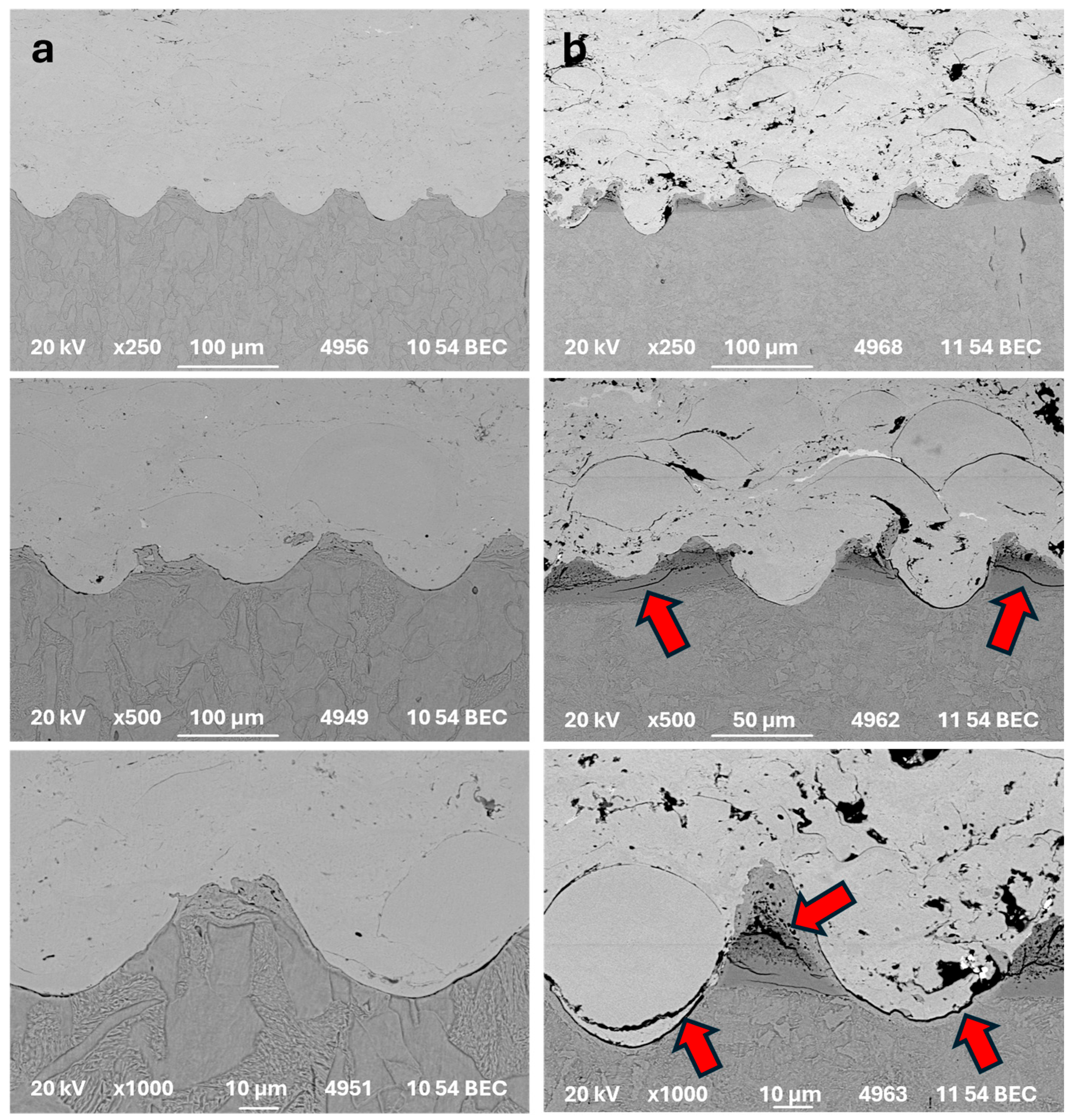 Materials 17 05069 g006