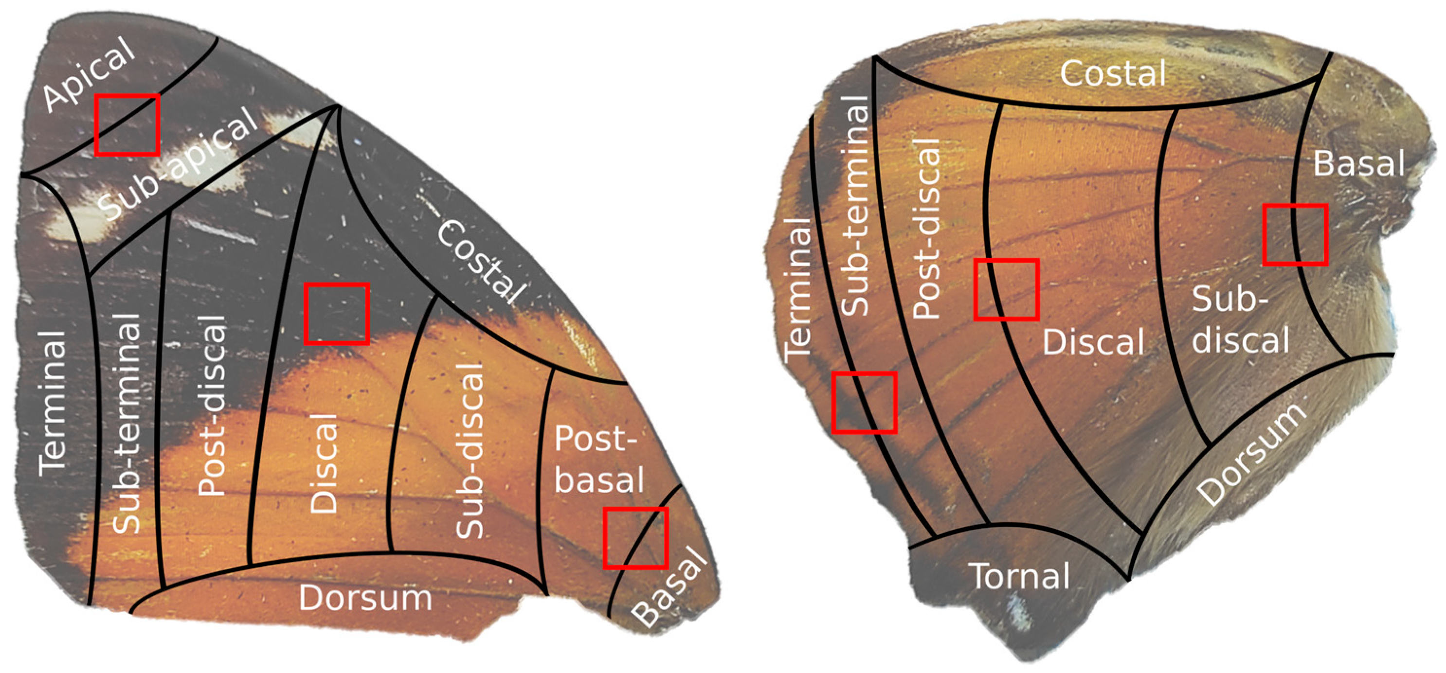 Materials 17 05084 g001