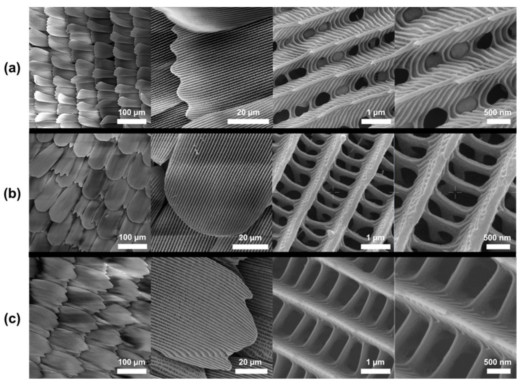 Materials 17 05084 g004