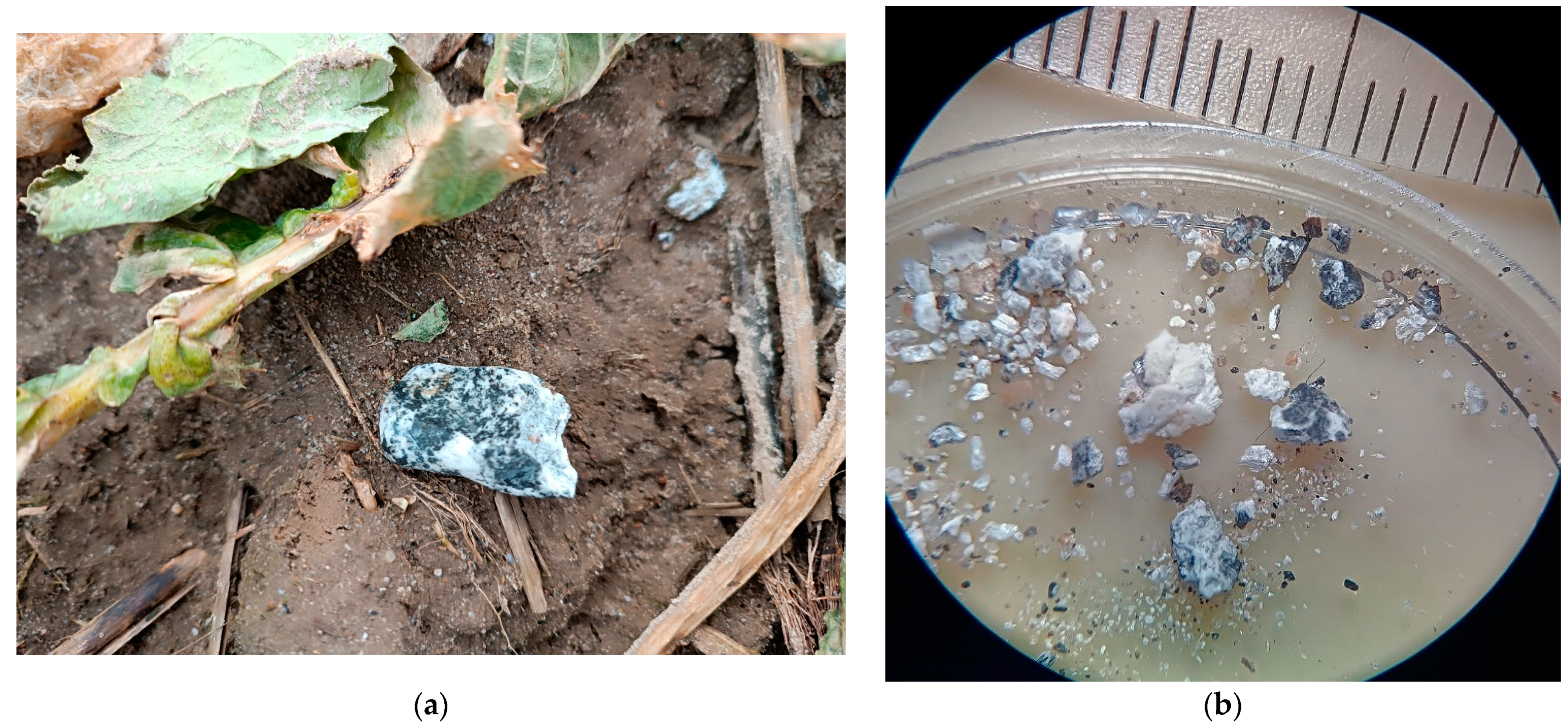 Materials 17 05105 g001