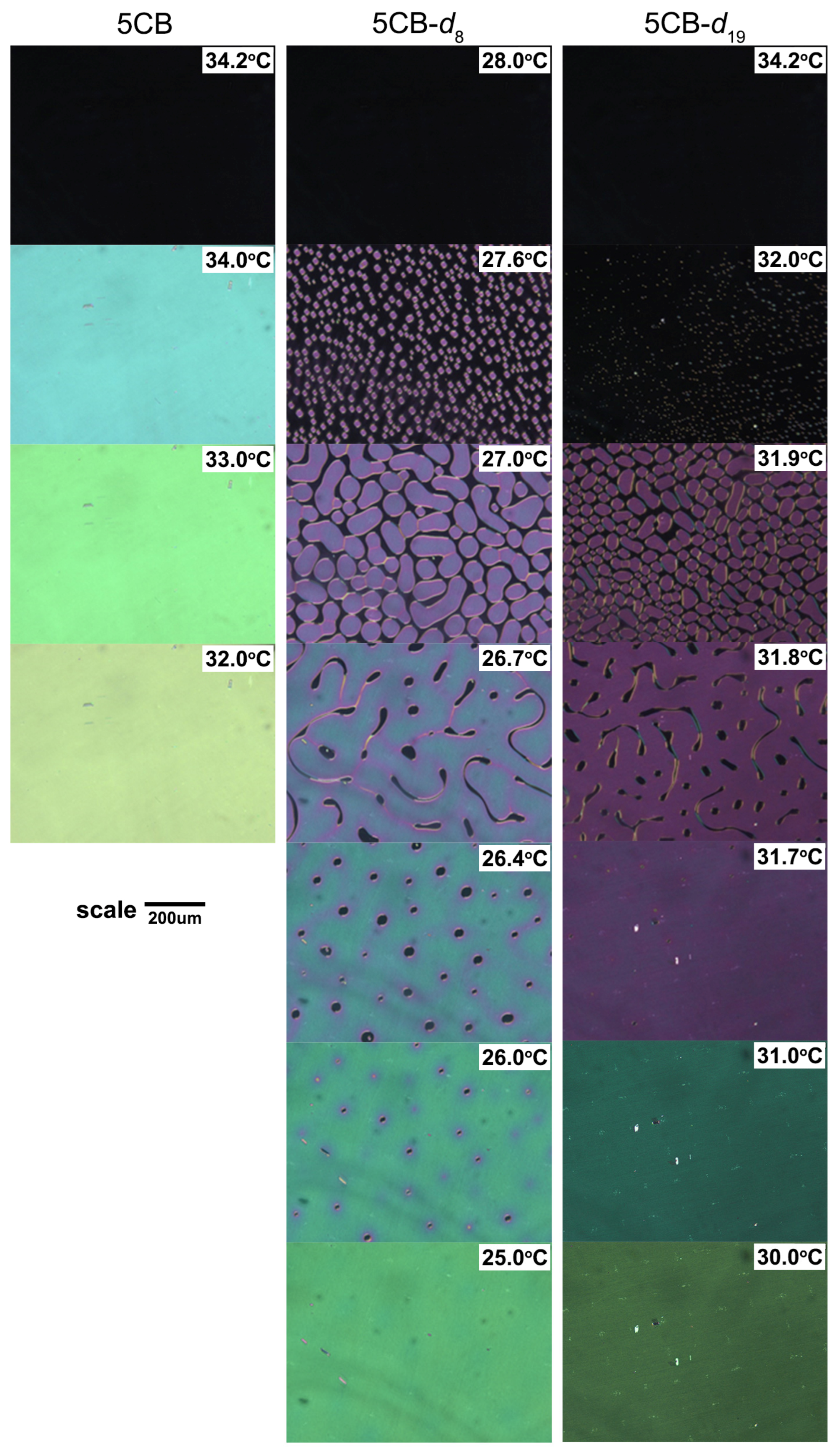 Materials 17 05106 g003 Materials 17 05106 g003