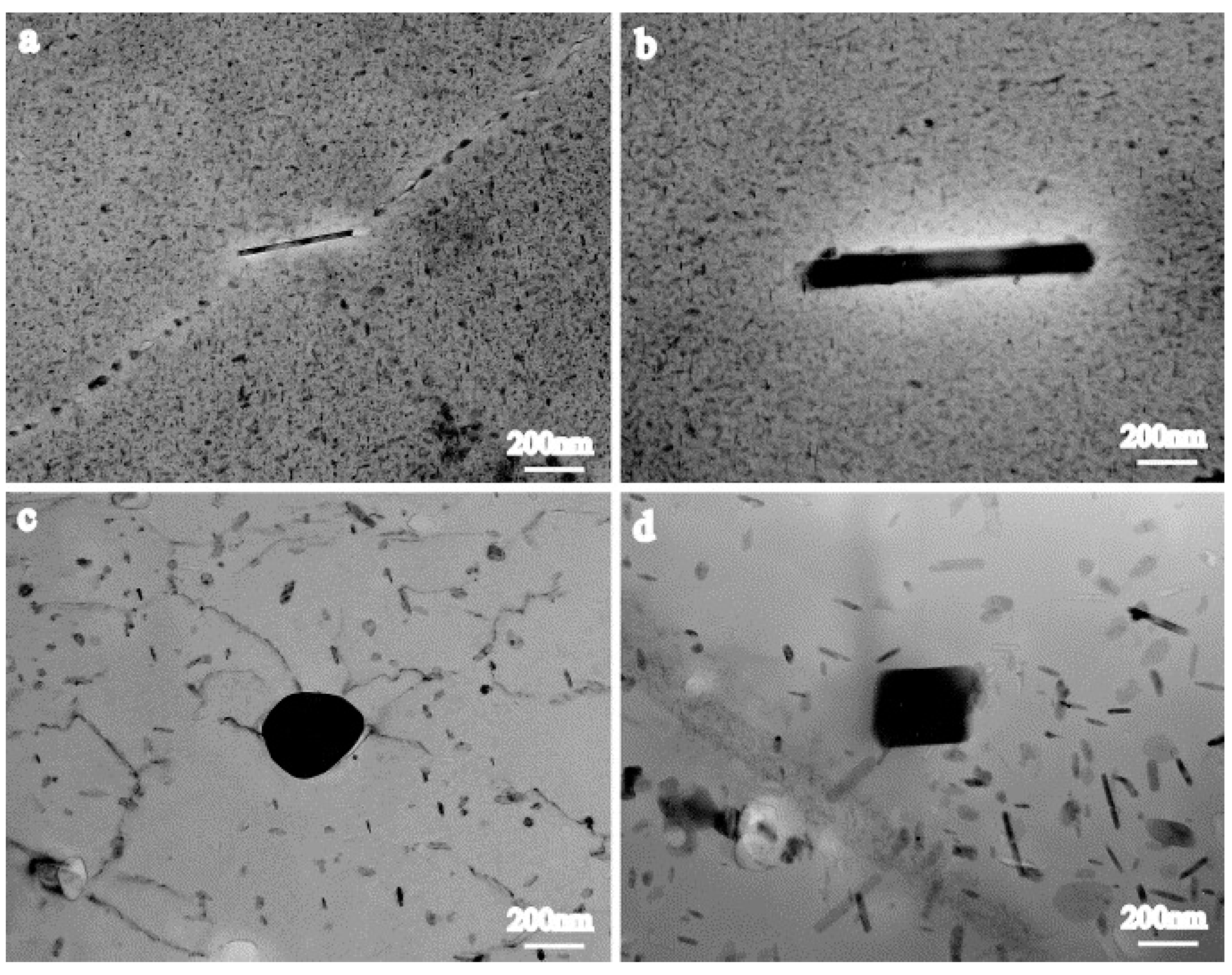 Materials 17 05107 g004