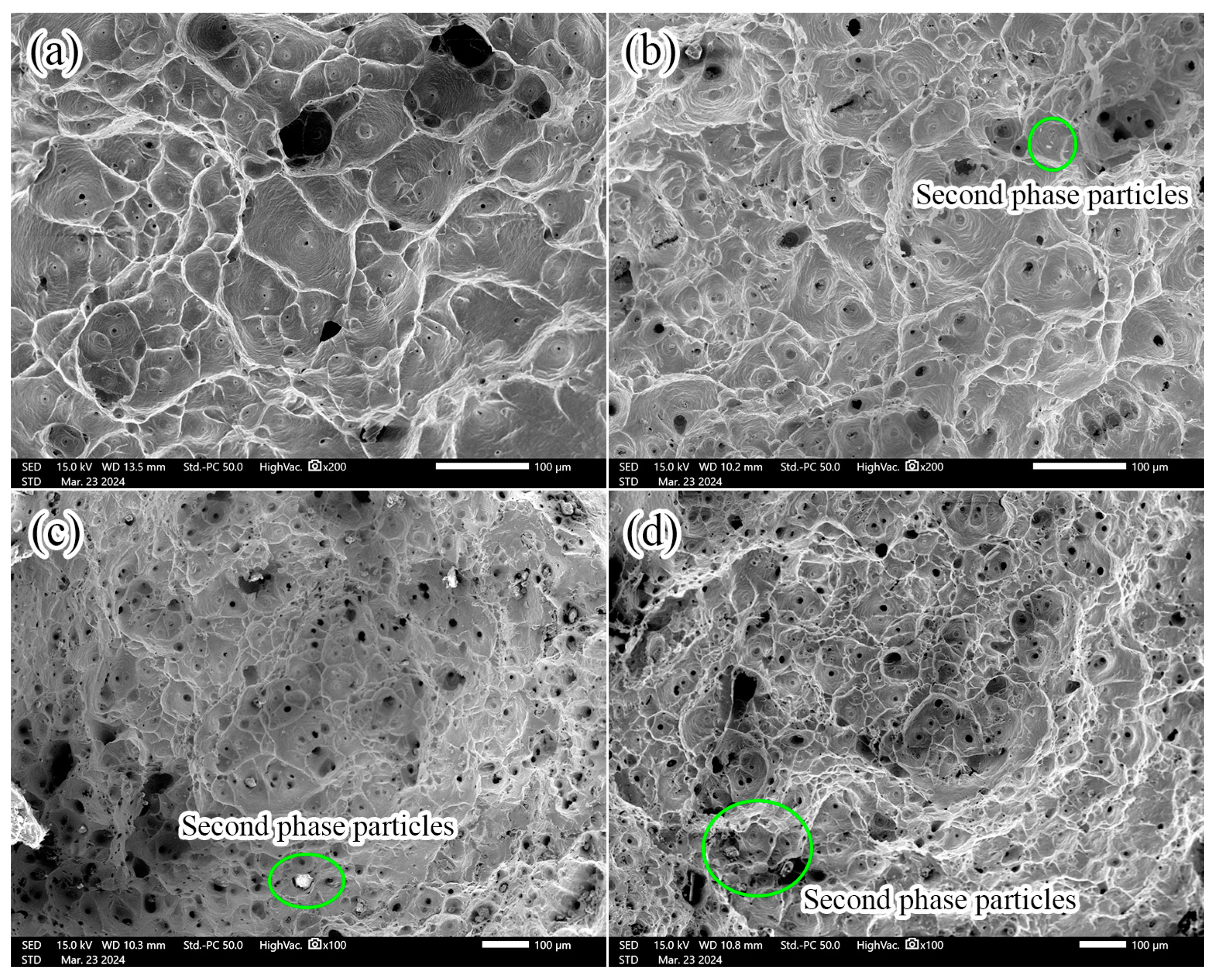 Materials 17 05112 g004 Materials 17 05112 g004