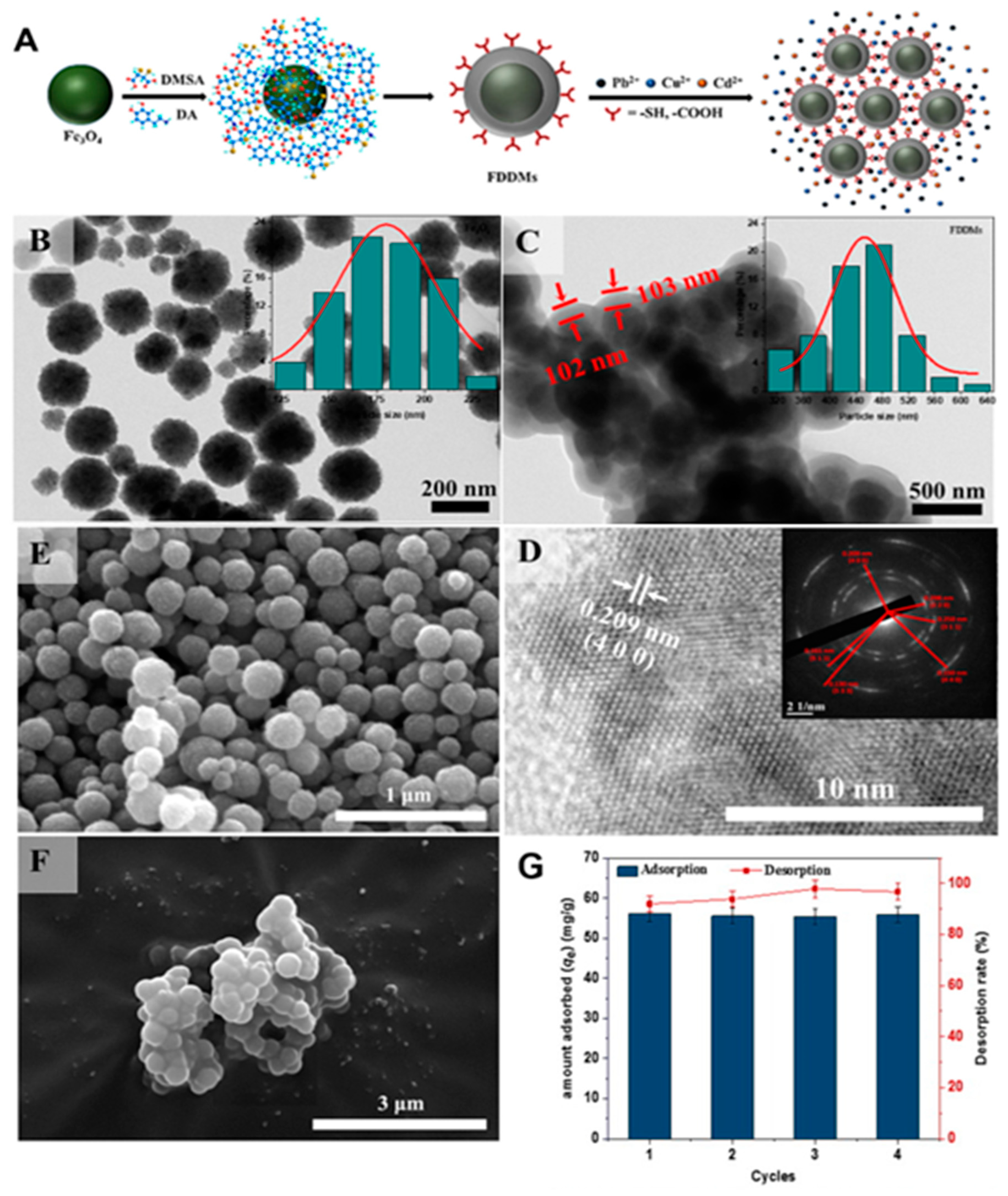 Materials 17 05141 g010