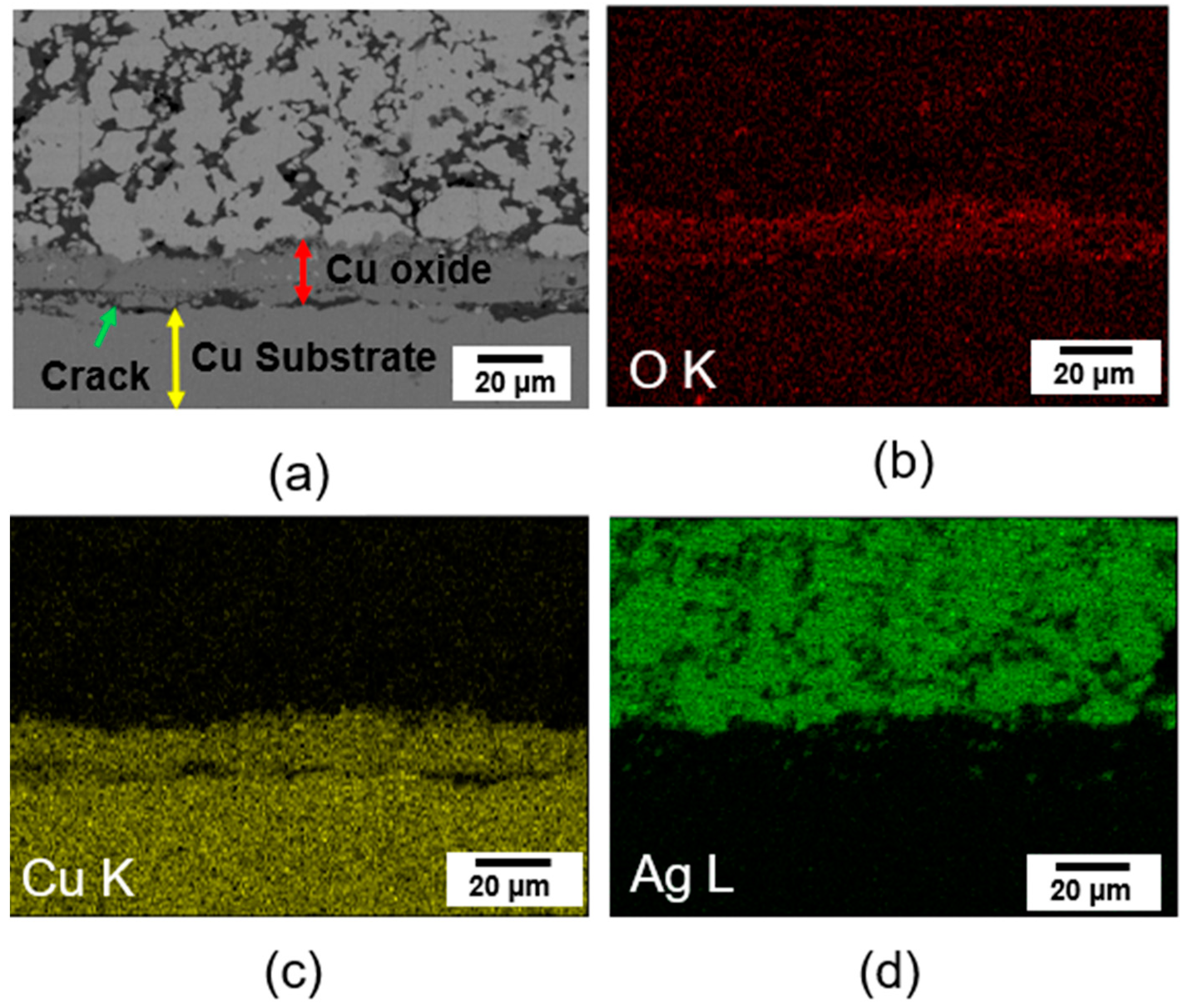 Materials 17 05142 g010