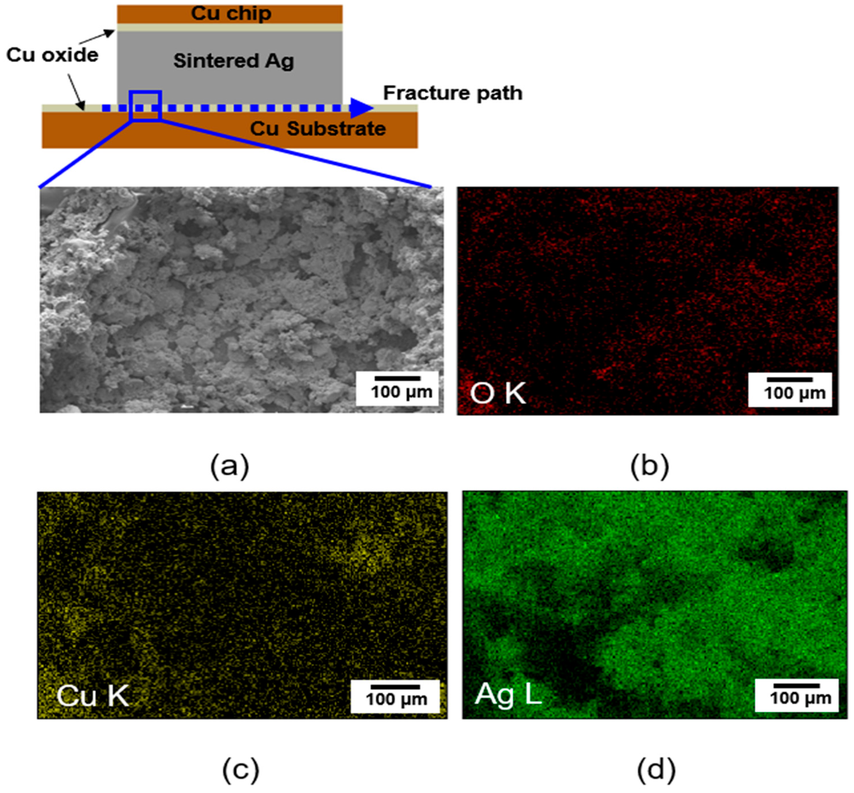 Materials 17 05142 g012