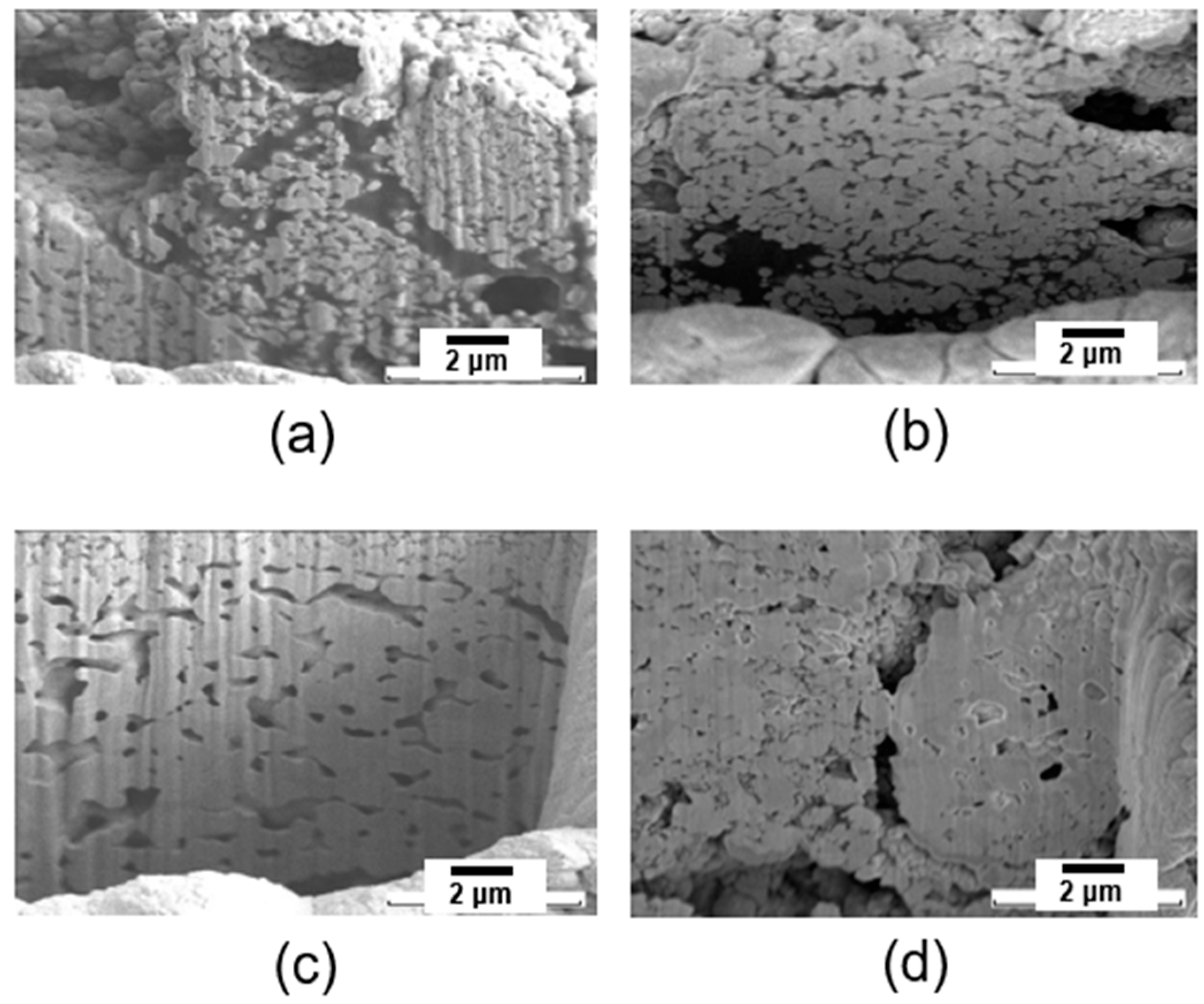 Materials 17 05142 g014