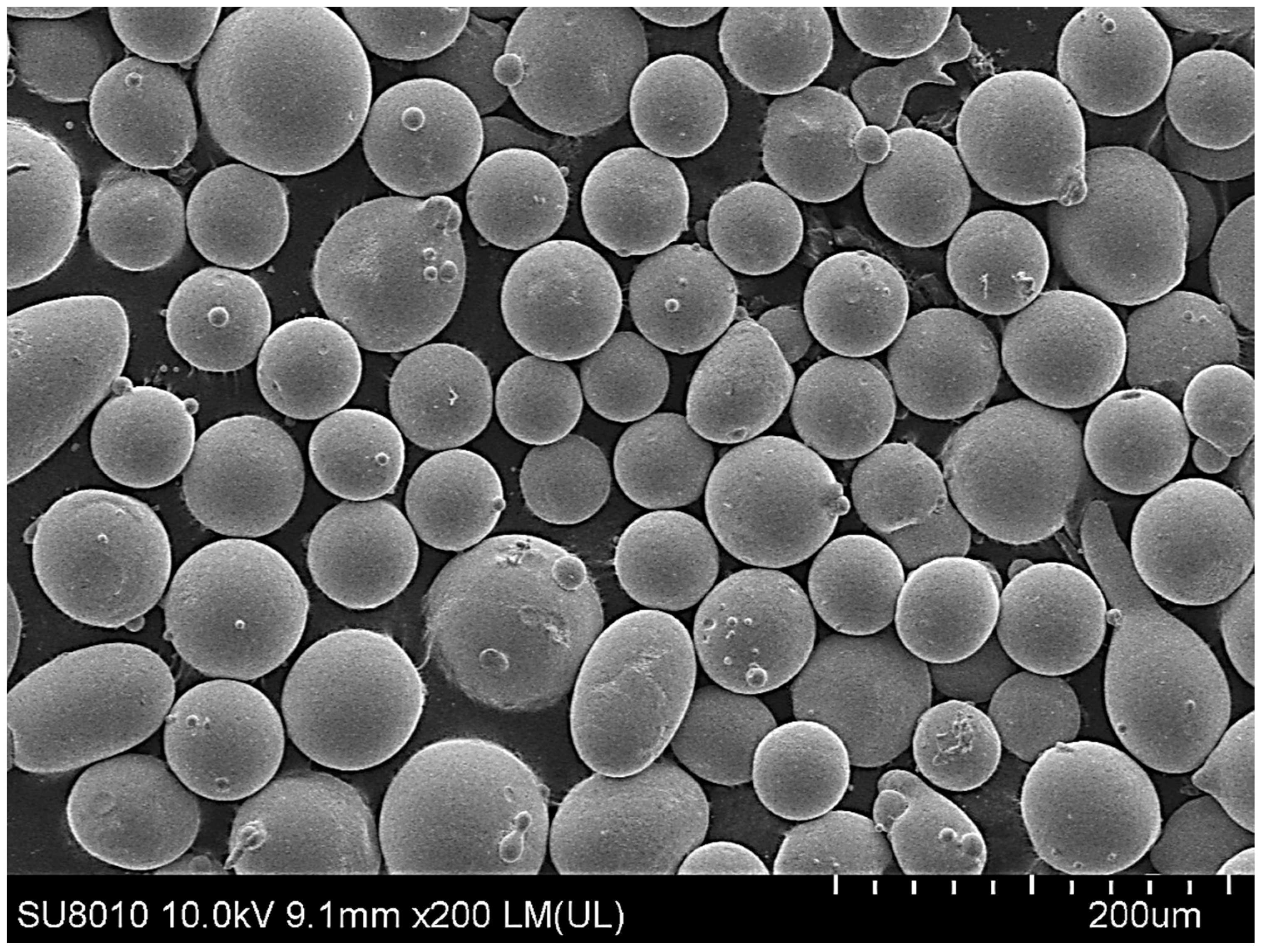 Materials 17 05158 g001