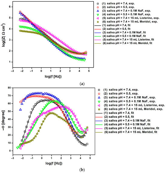 Effect of Artificial Saliva Modification on Corrosion