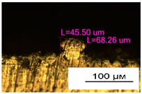 Materials 17 05167 i031