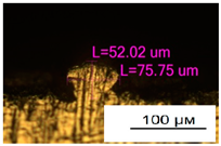 Materials 17 05167 i037