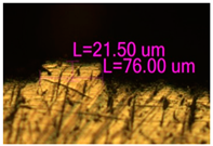 Materials 17 05167 i041