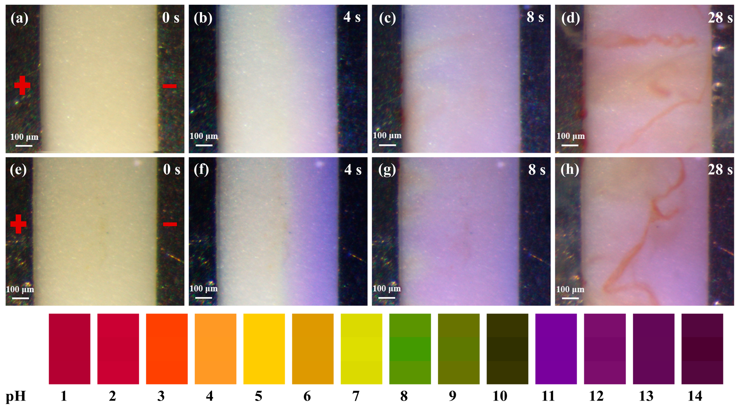 Materials 17 05172 g004