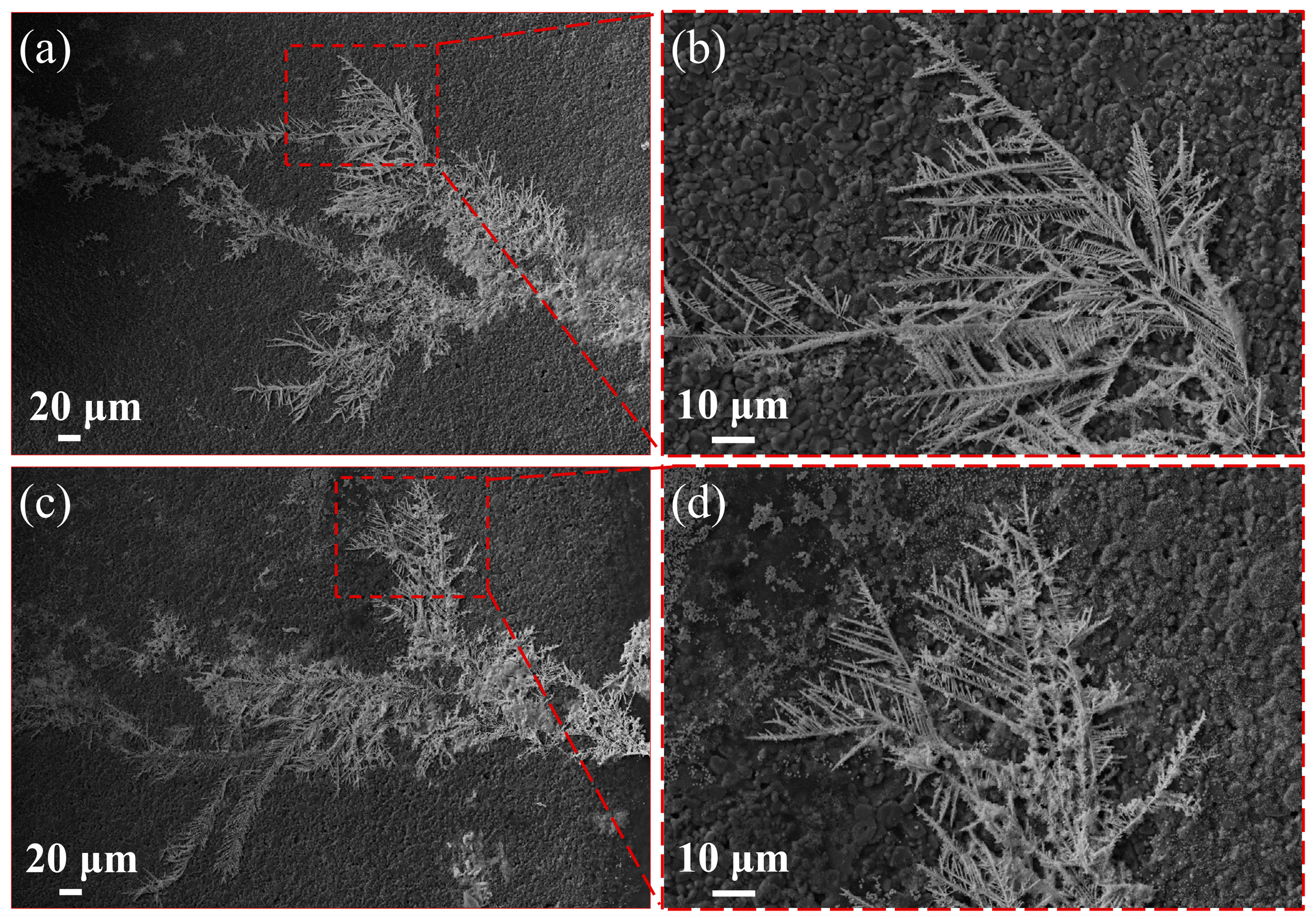 Materials 17 05172 g005