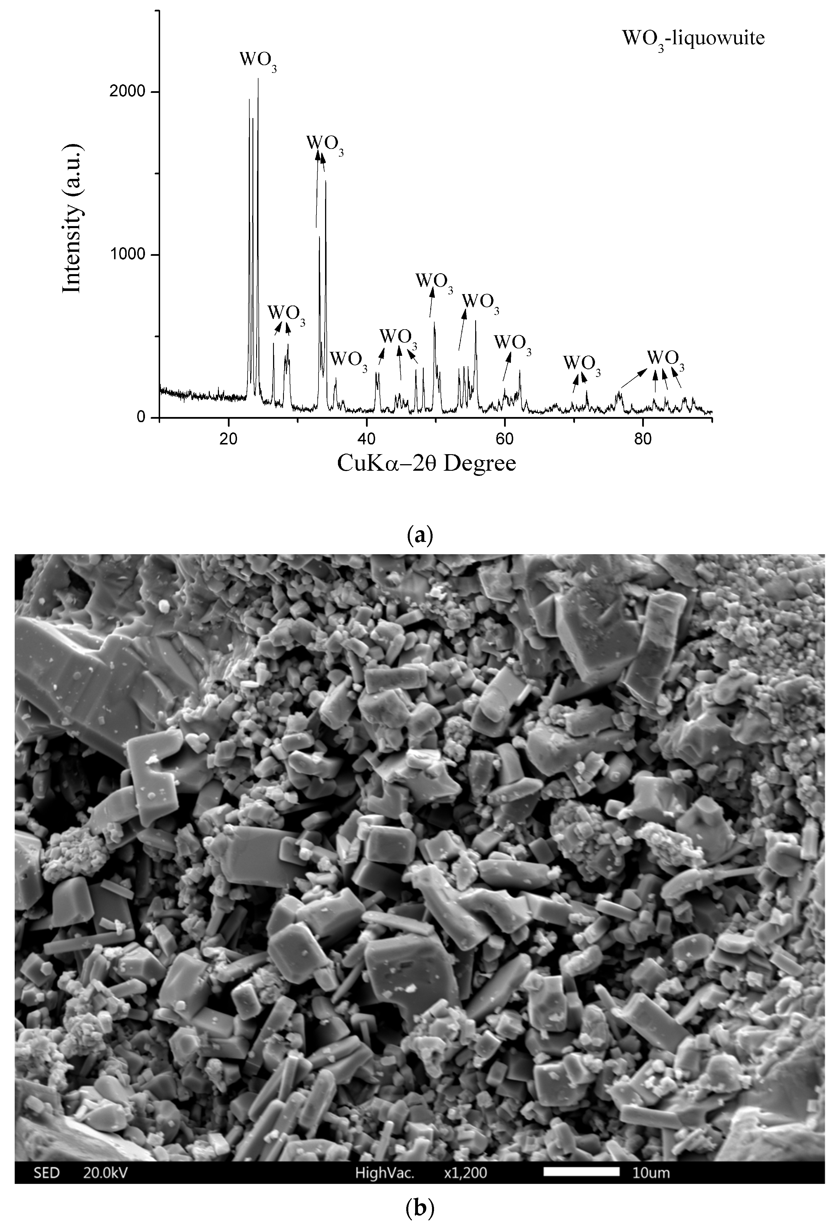 Materials 17 05179 g009 Materials 17 05179 g009