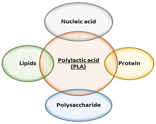 Poly(lactide)-Based Materials Modified with Biomolecules: A