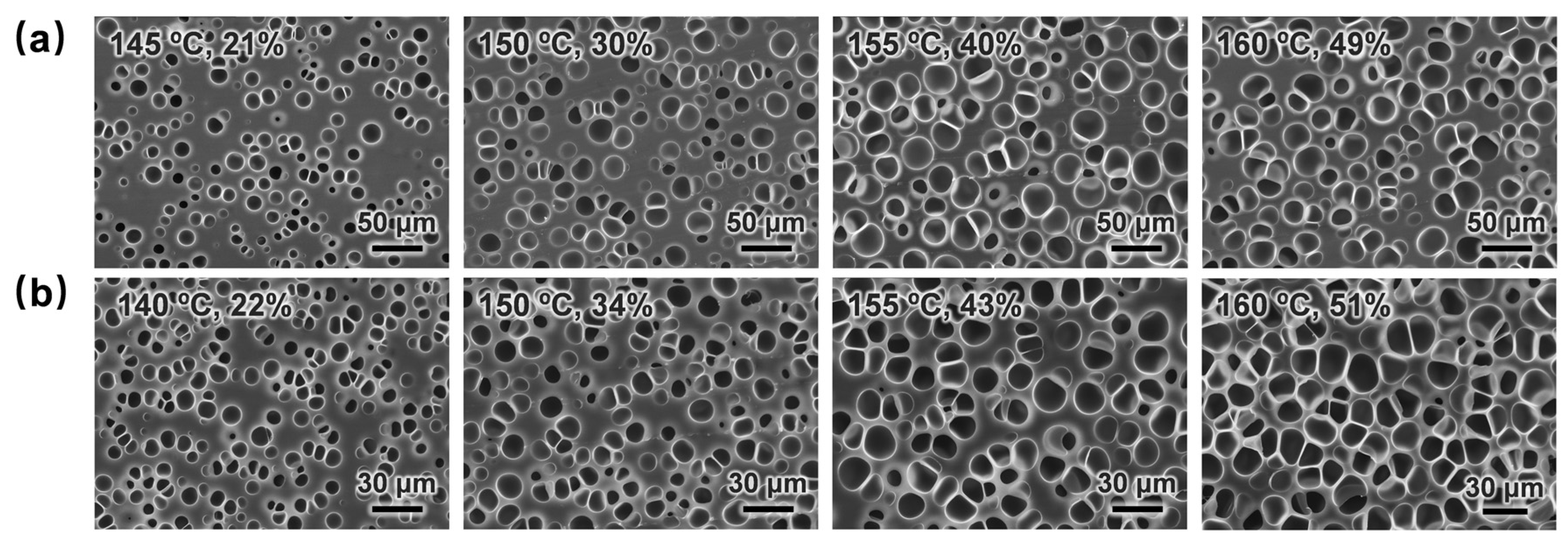 Materials 17 05203 g013