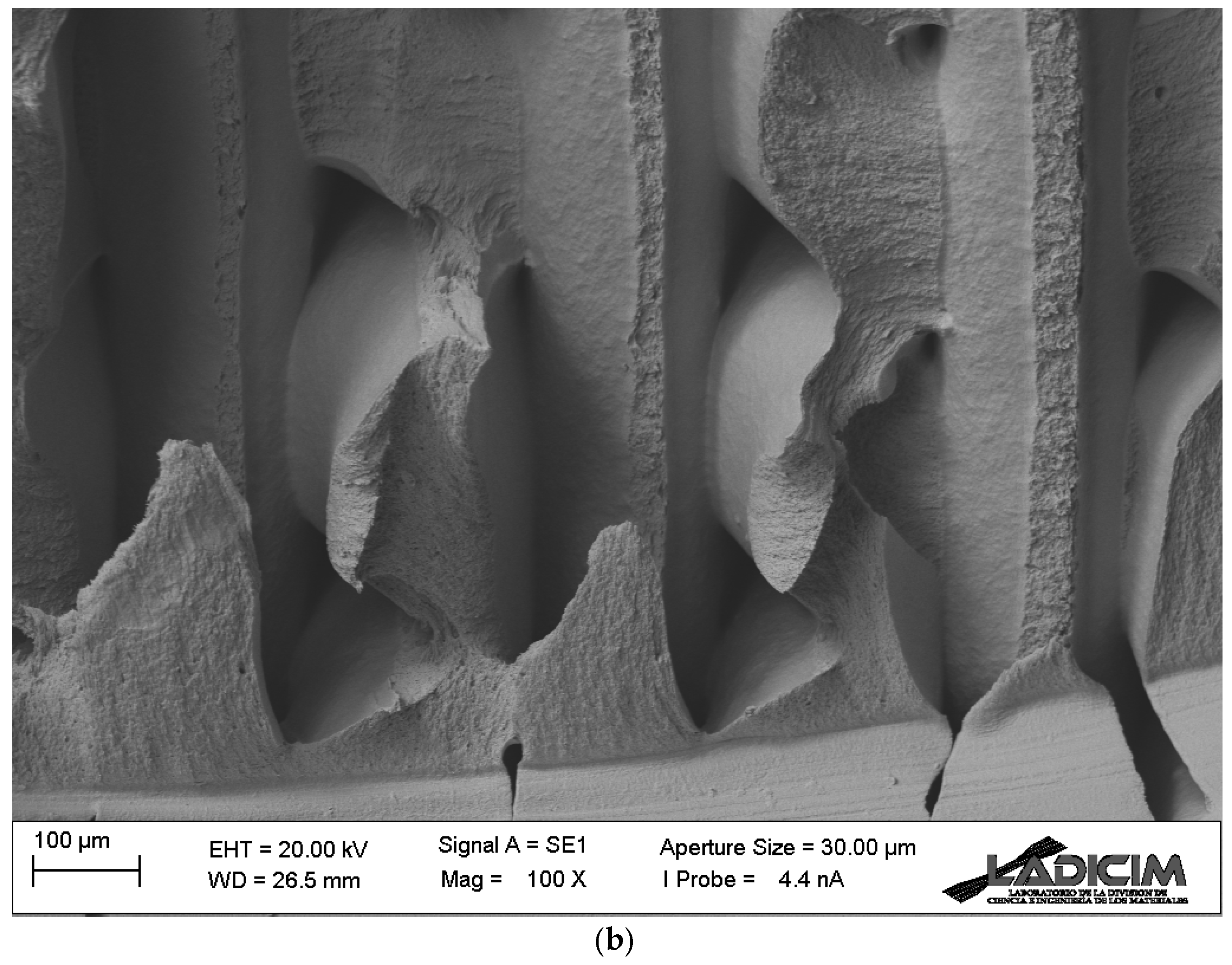 Materials 17 05207 g010b