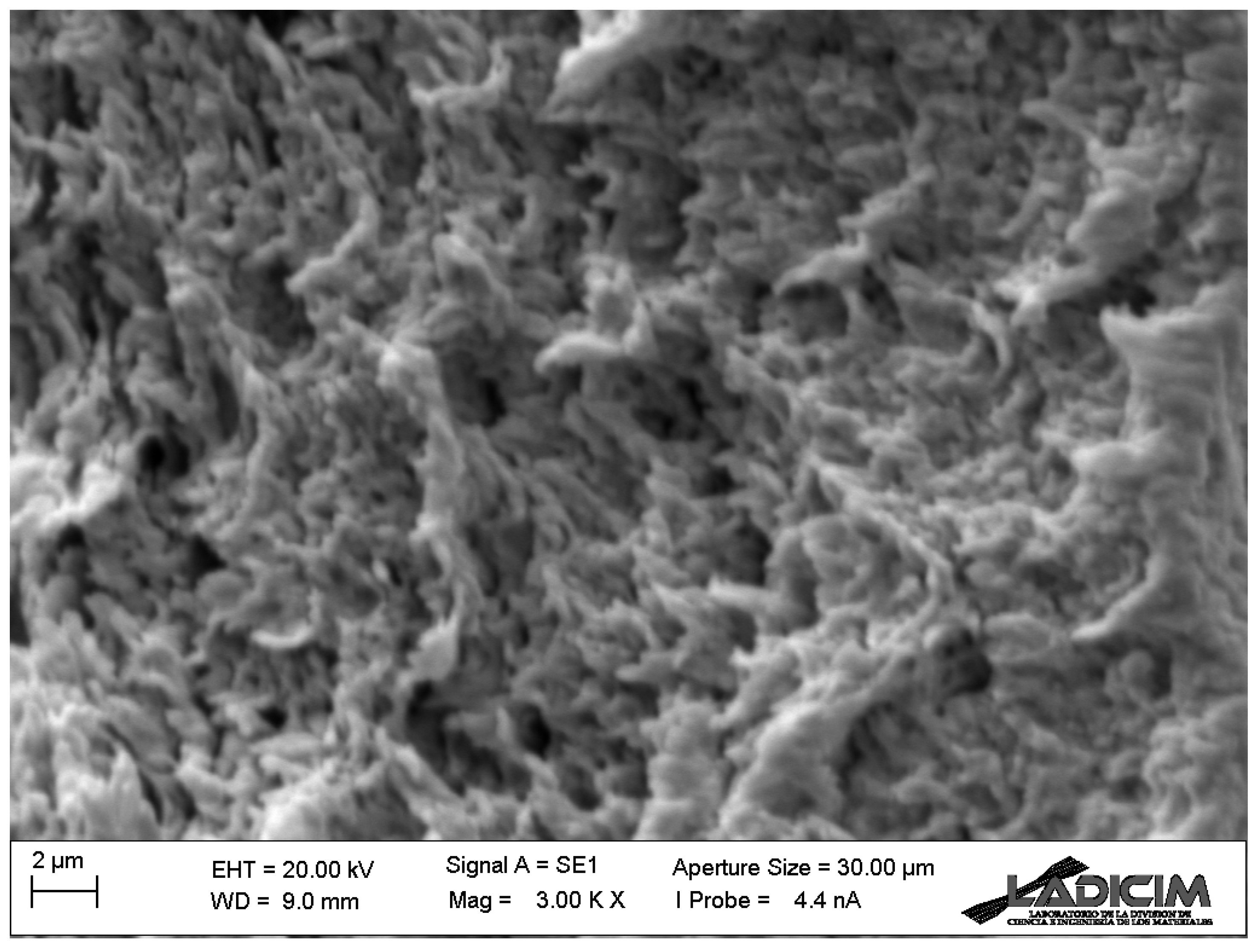 Materials 17 05207 g012