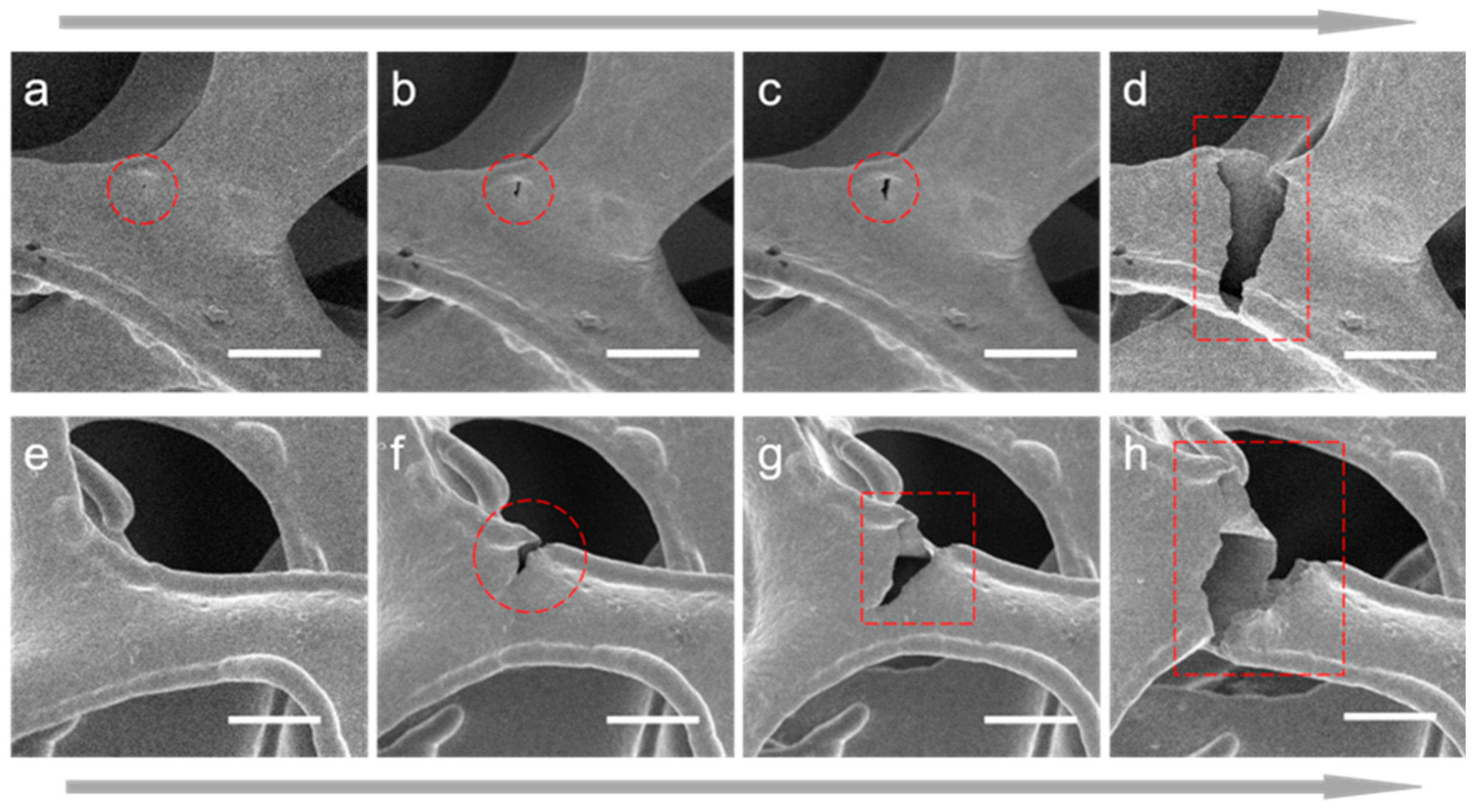 Materials 17 05223 g005