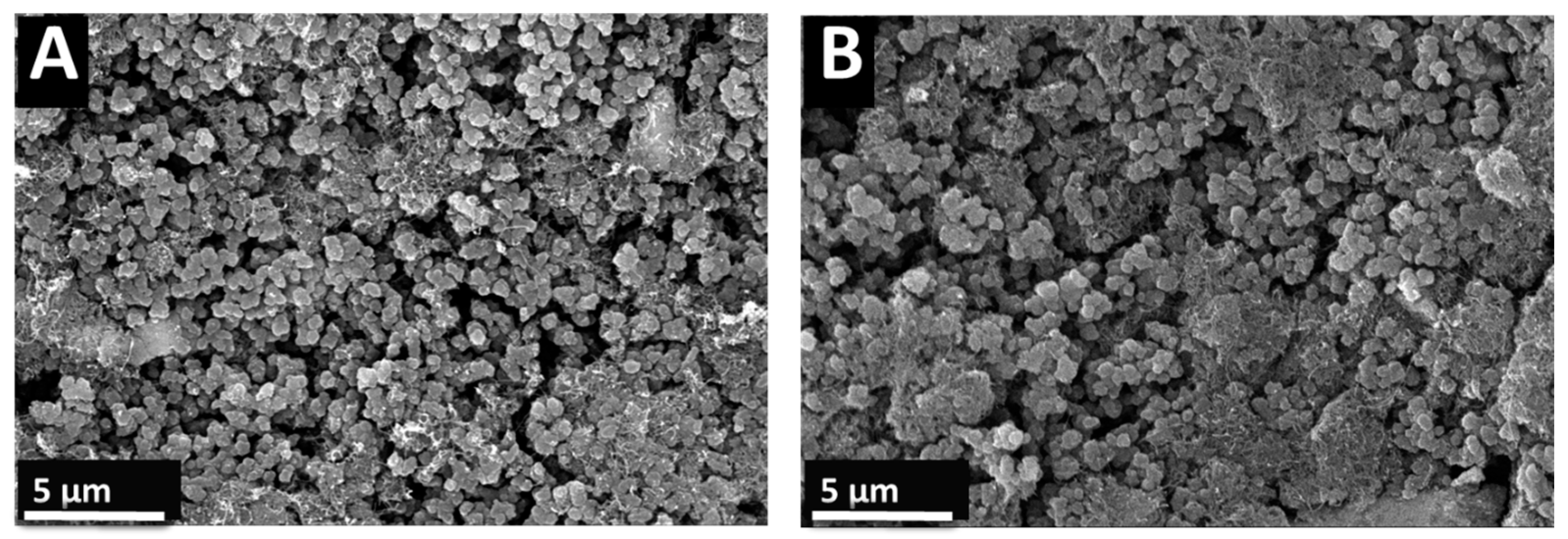 Materials 17 05249 g007