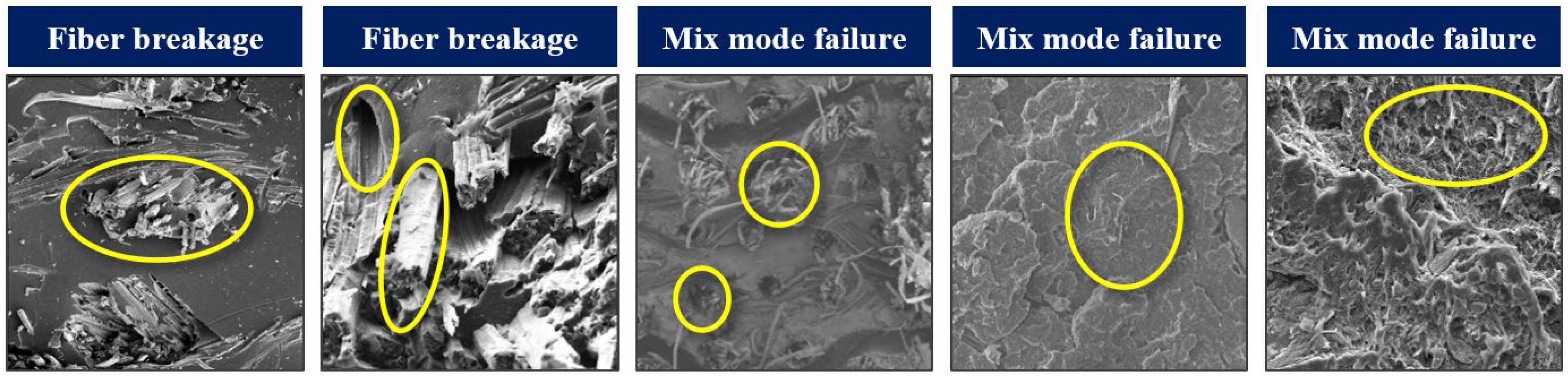 Materials 17 05265 g007