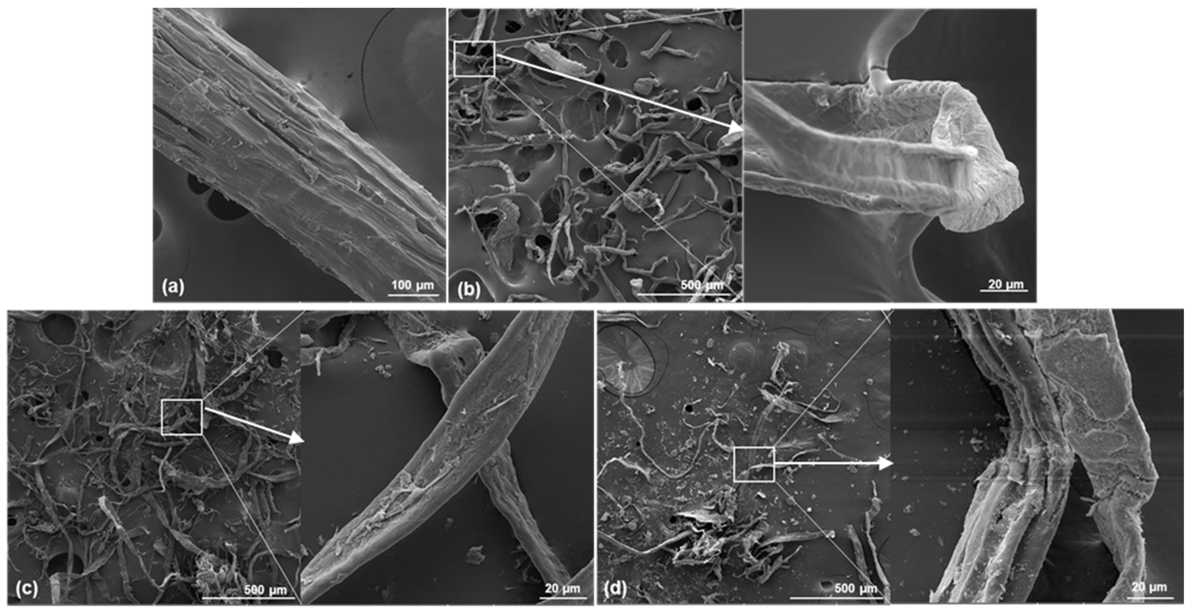 Materials 17 05278 g003