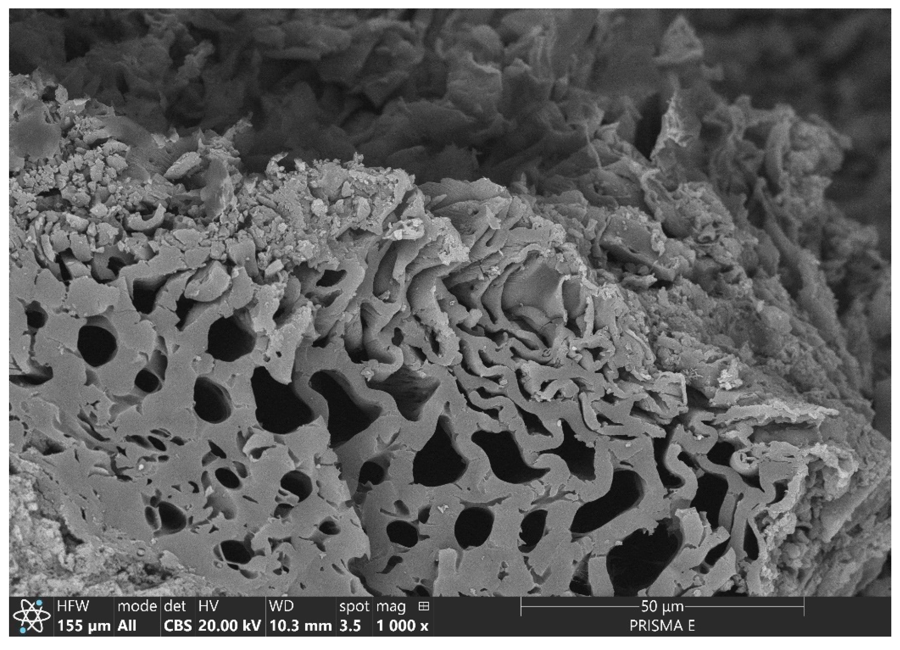 Materials 17 05281 g008