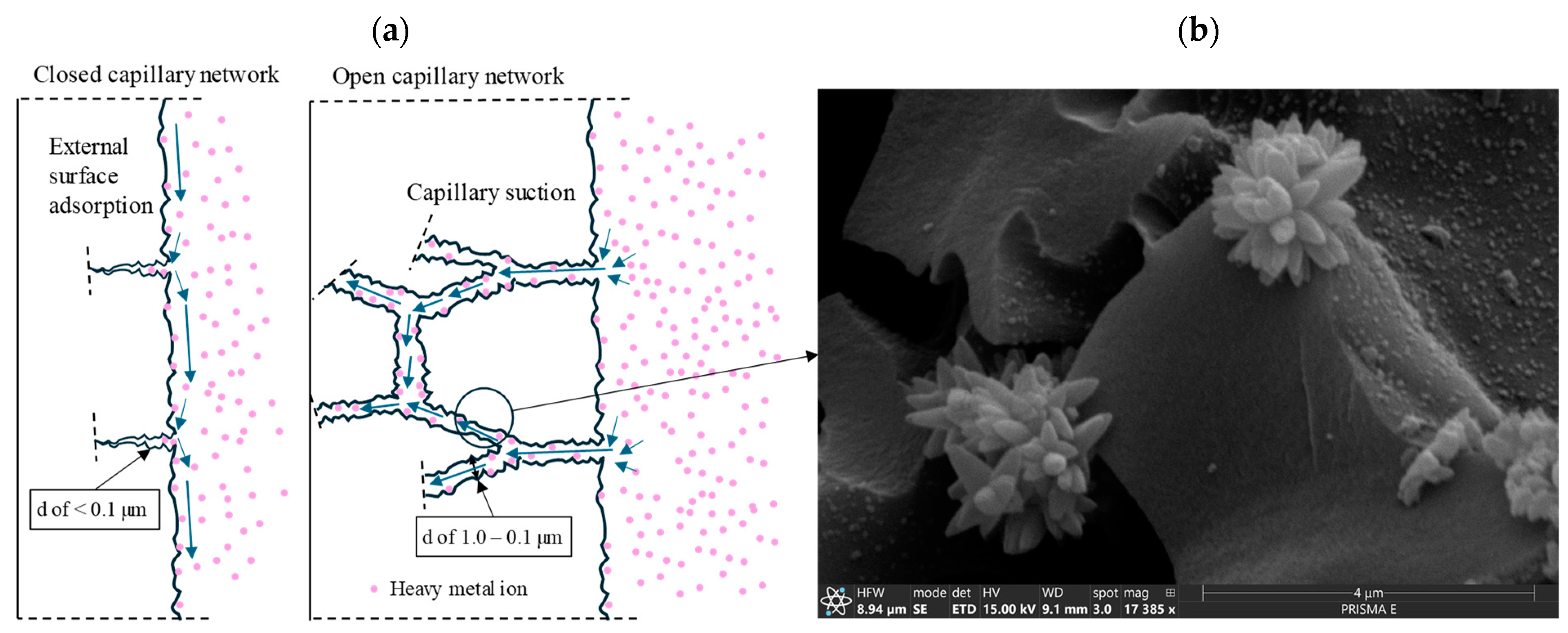Materials 17 05281 g022