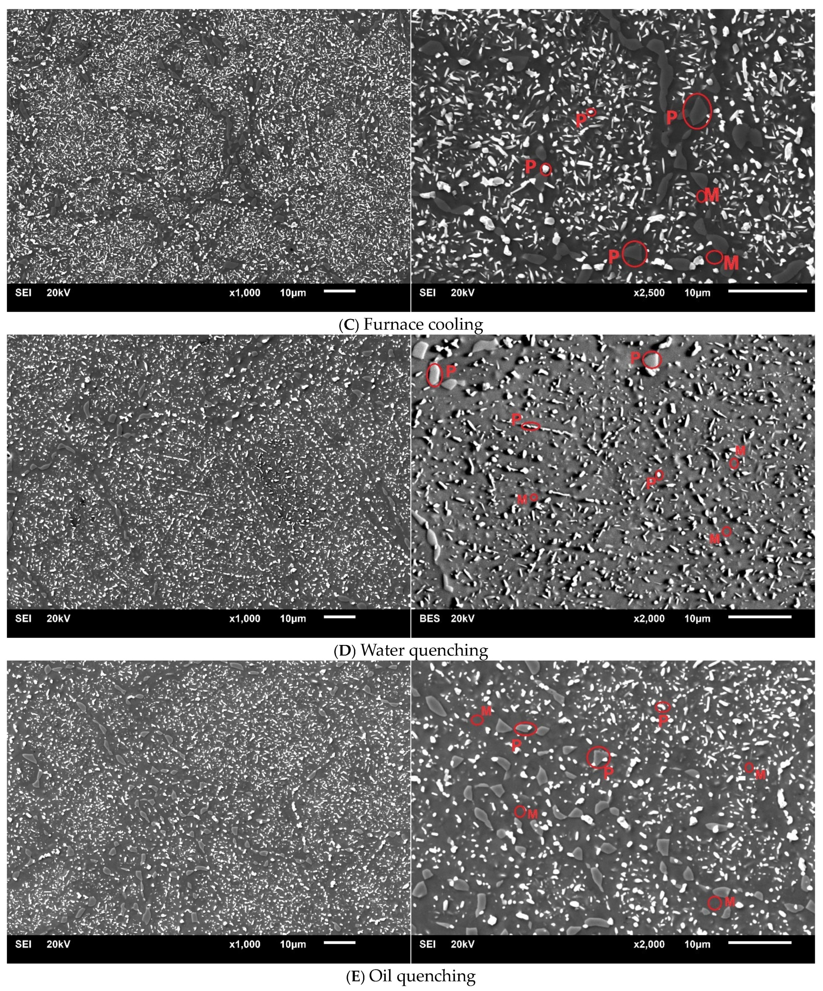 Materials 17 05313 g001b
