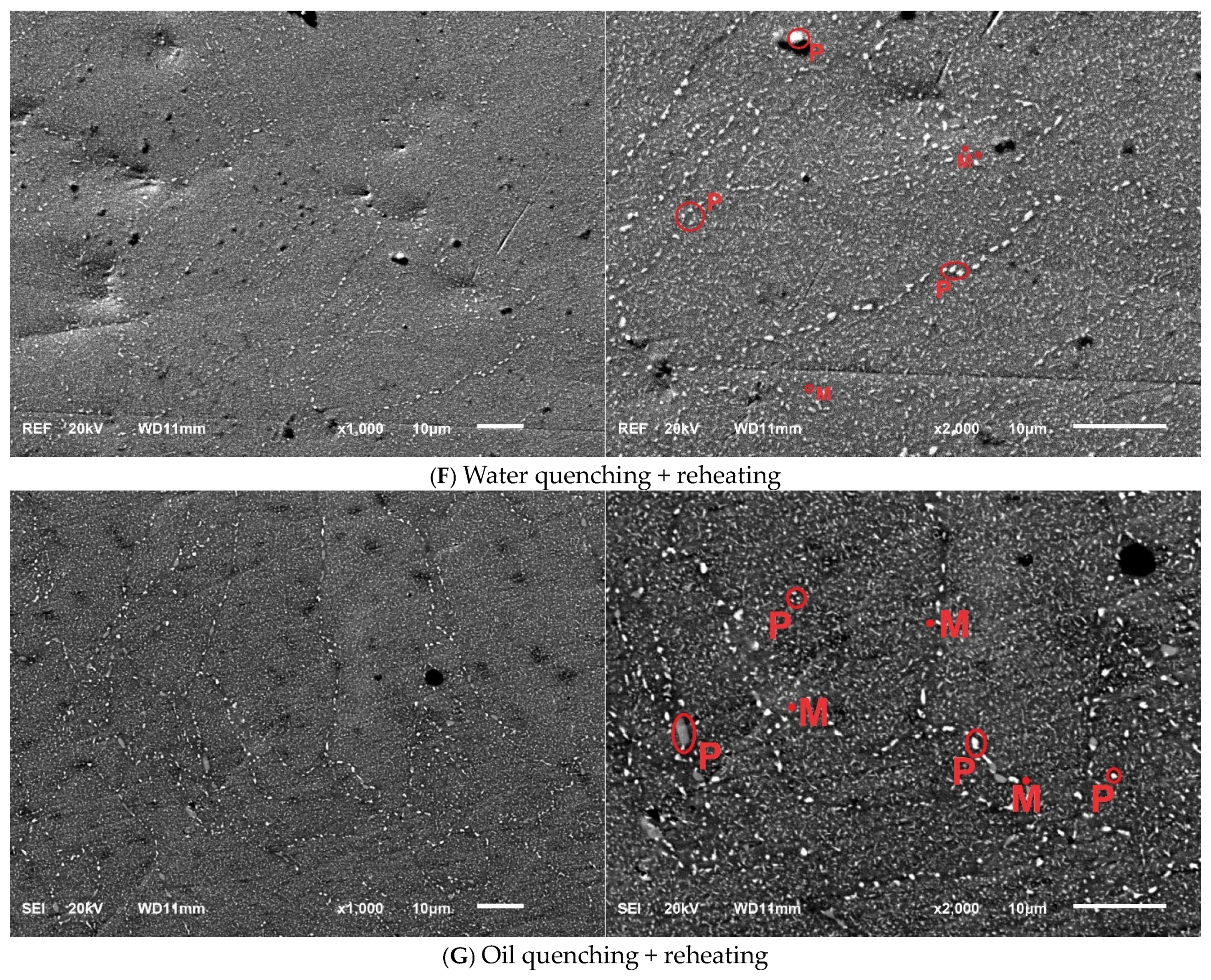 Materials 17 05313 g001c