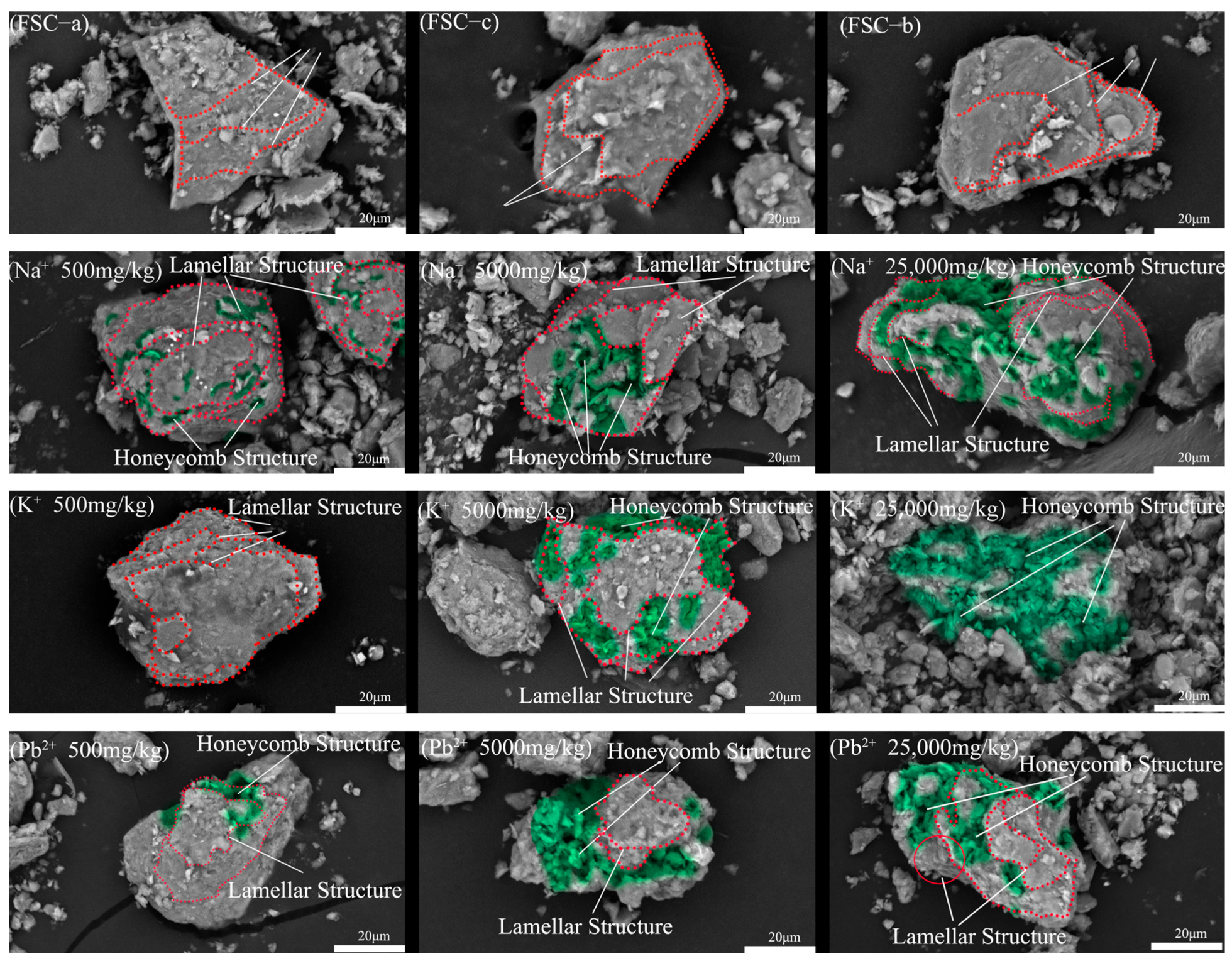 Materials 17 05320 g005a