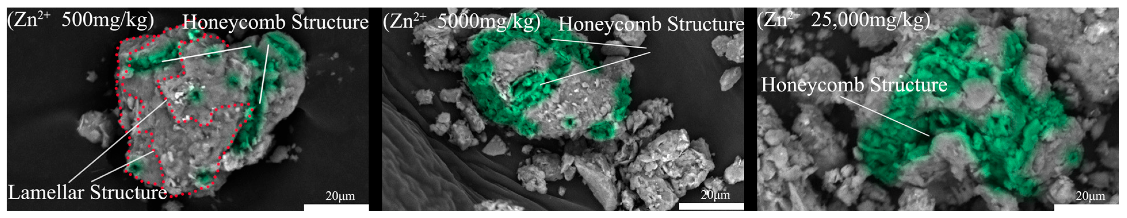 Materials 17 05320 g005b