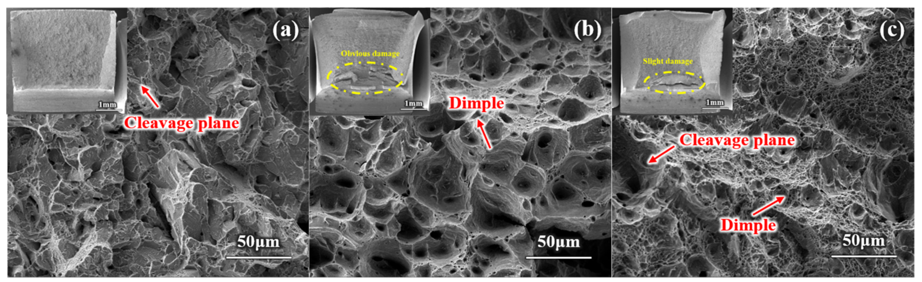 Materials 17 05337 g007